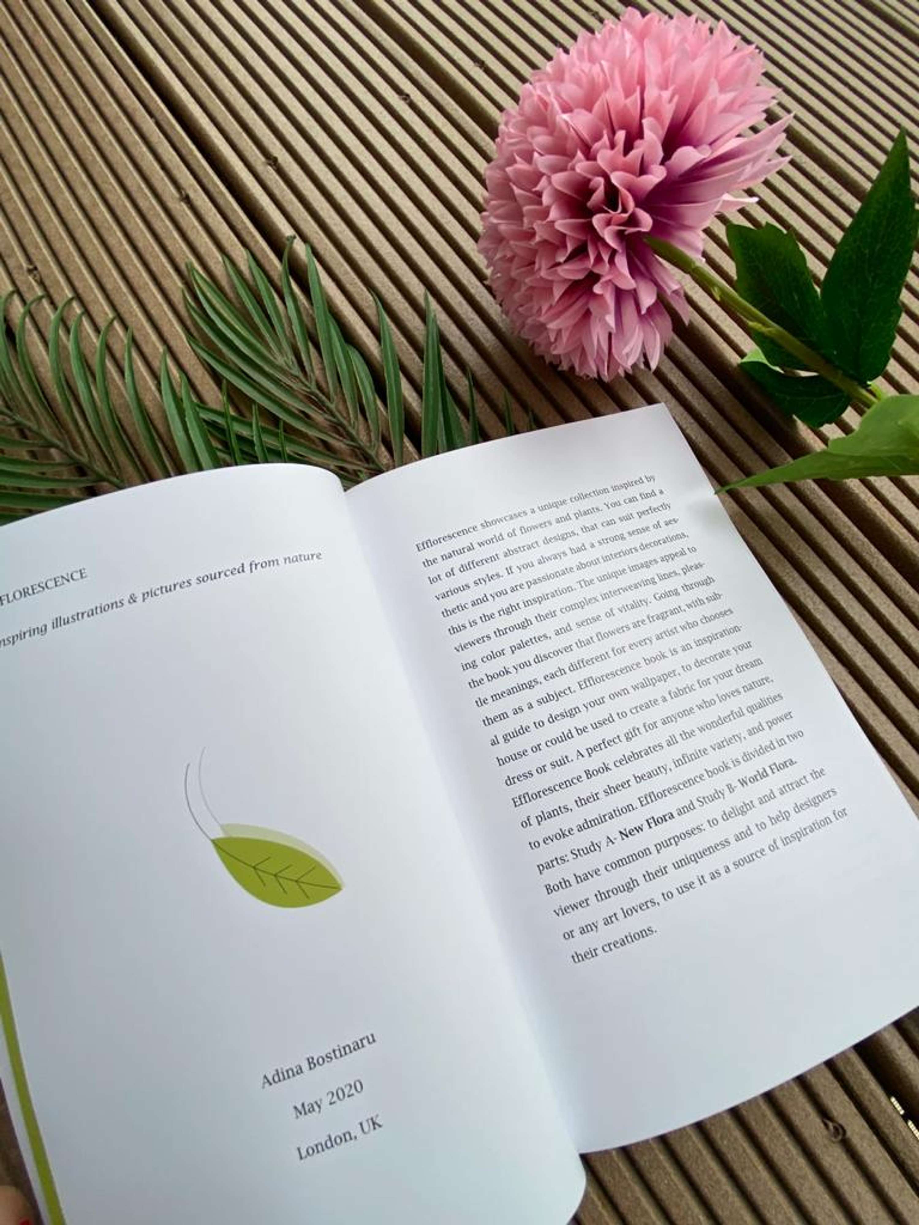 EFFLORESCENCE Book by Adina Bostinaru