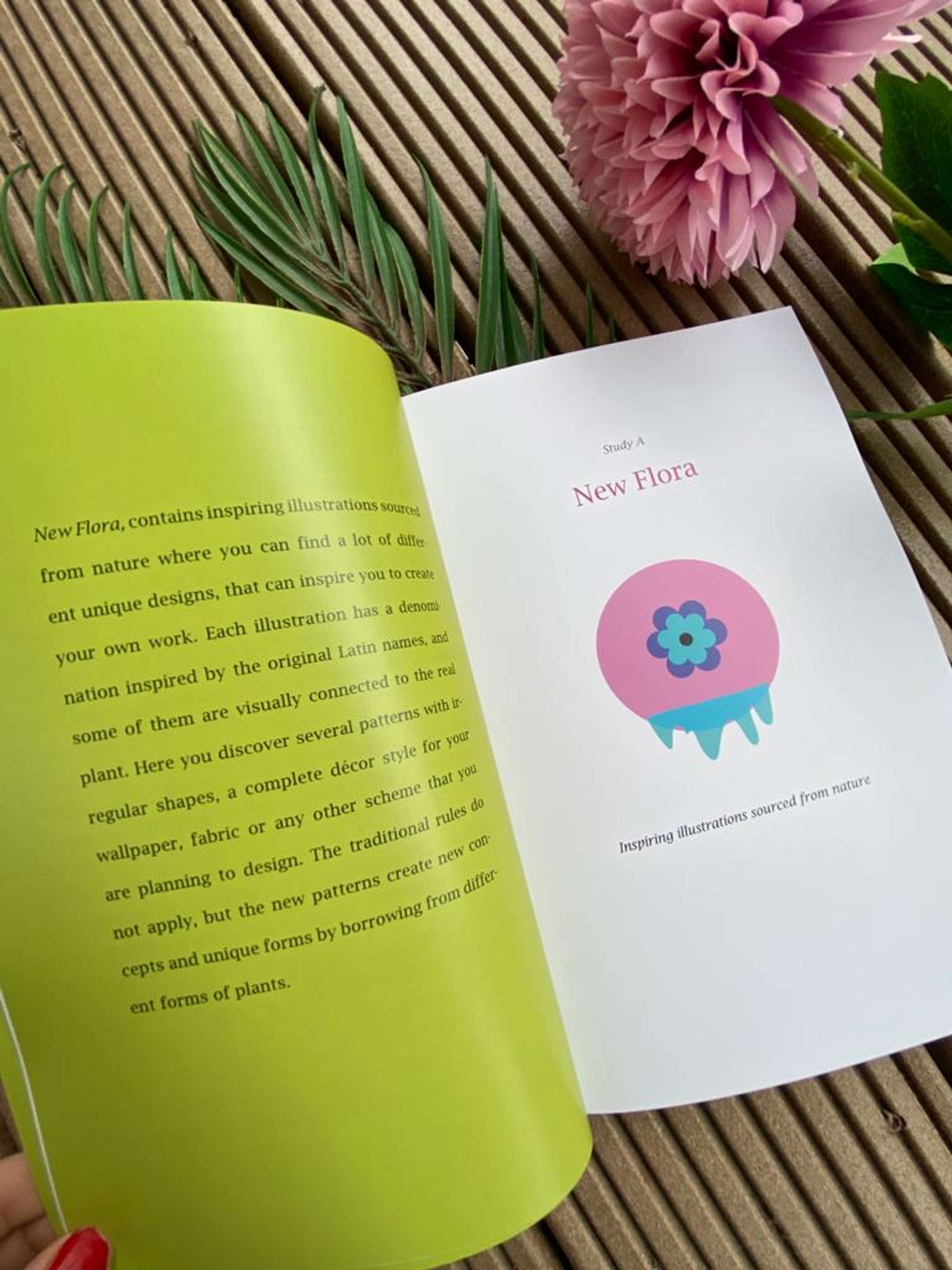 EFFLORESCENCE Book by Adina Bostinaru