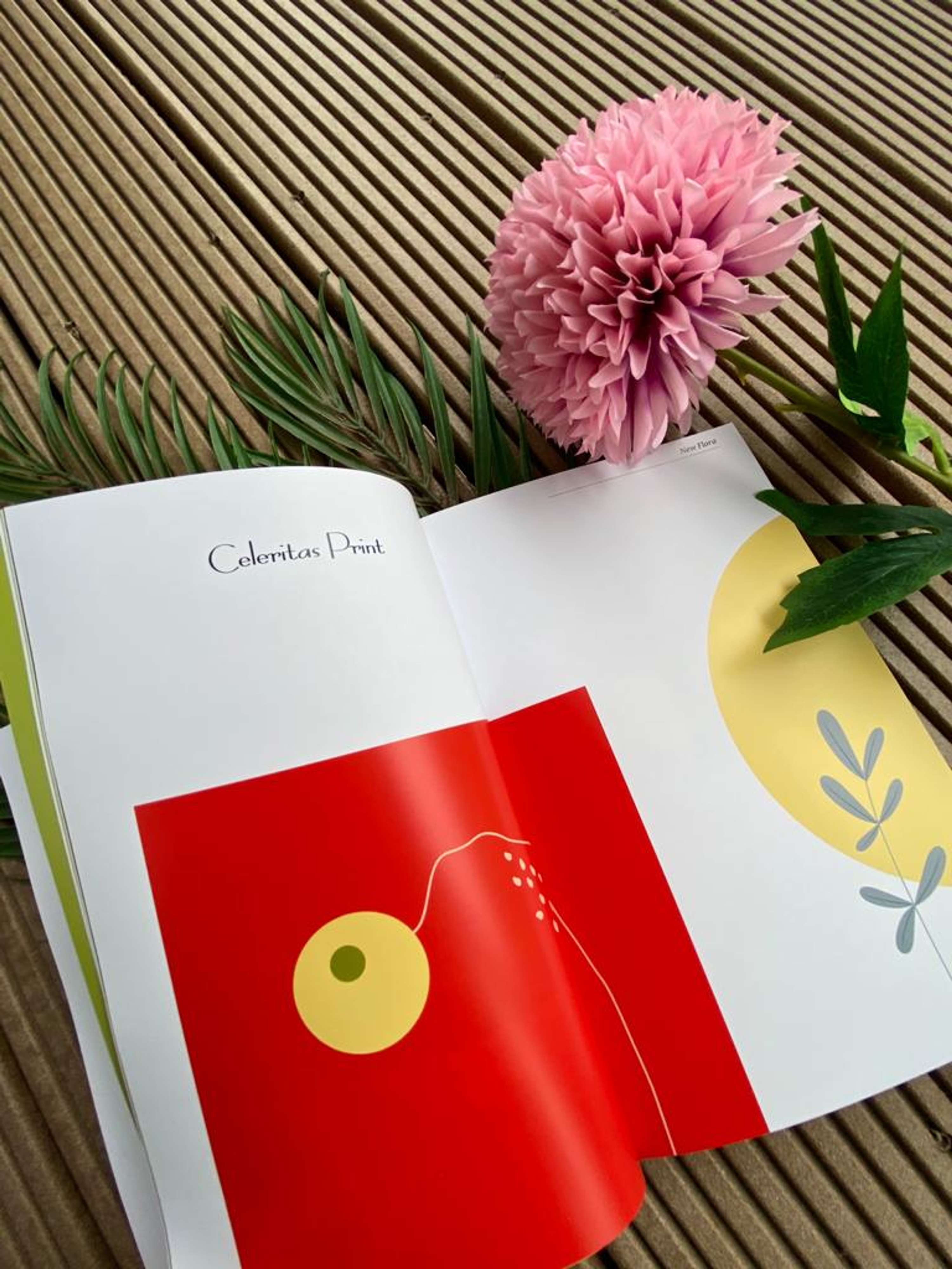 EFFLORESCENCE Book by Adina Bostinaru