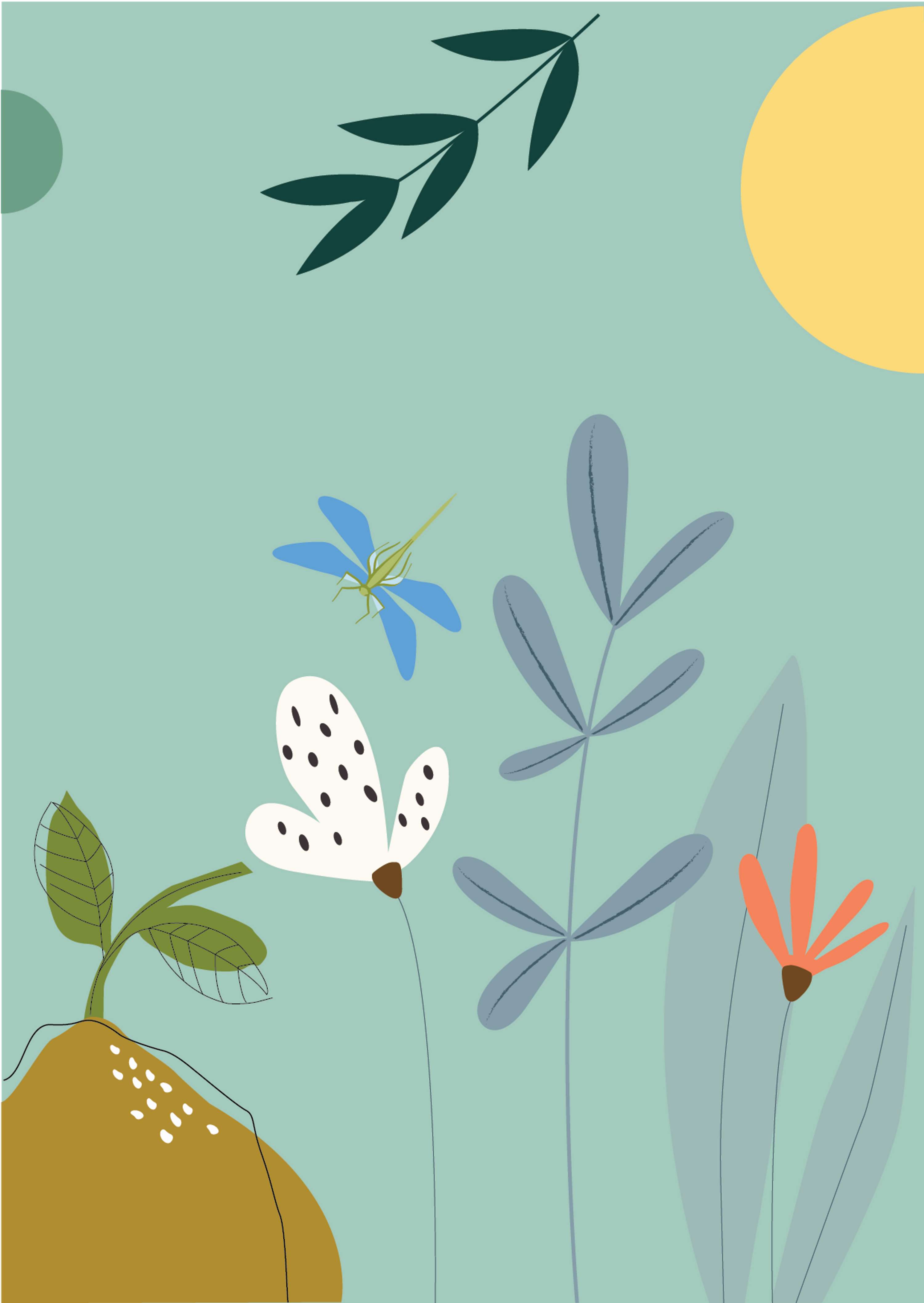 EFFLORESCENCE Book by Adina Bostinaru