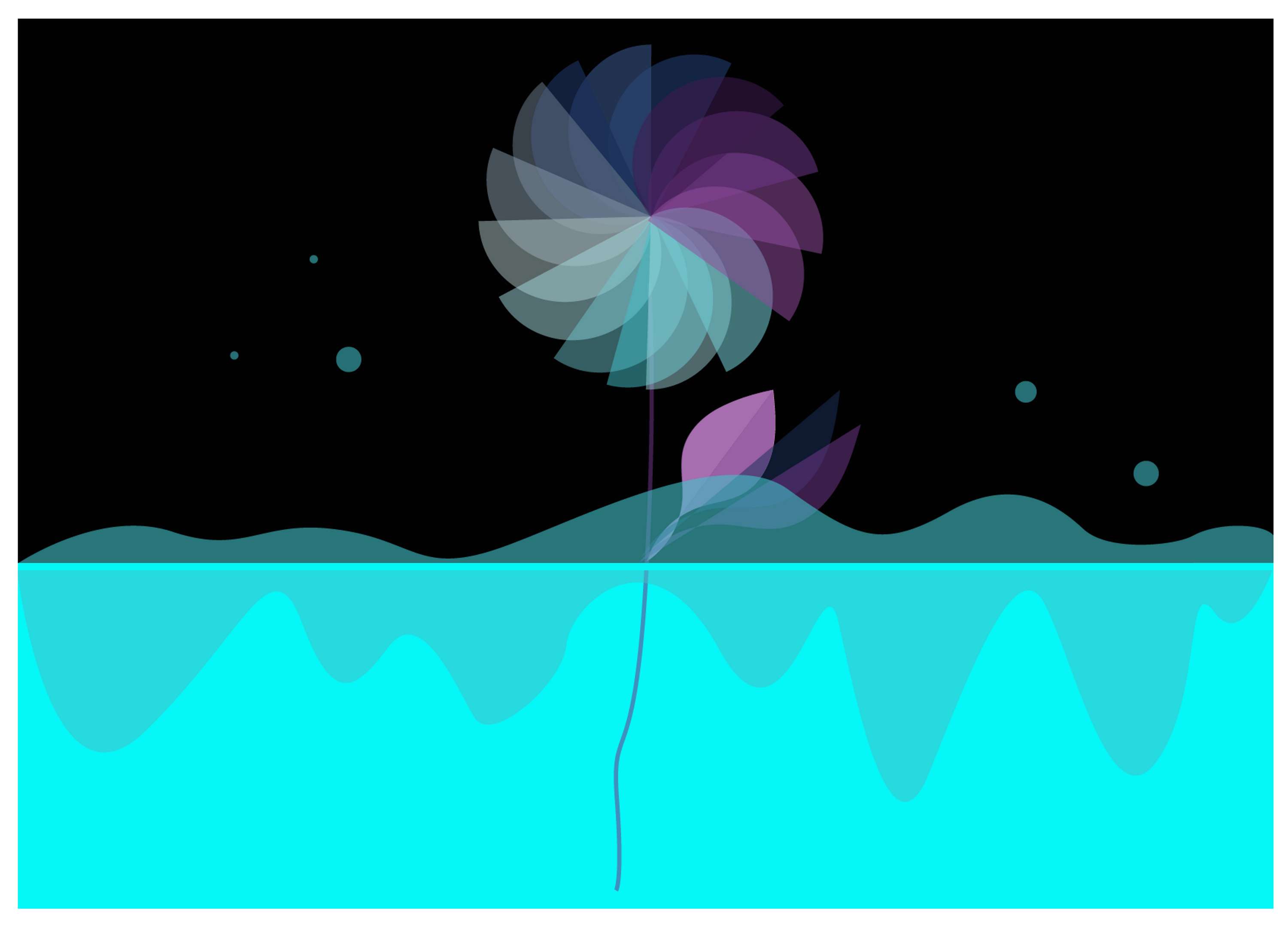 EFFLORESCENCE Book by Adina Bostinaru