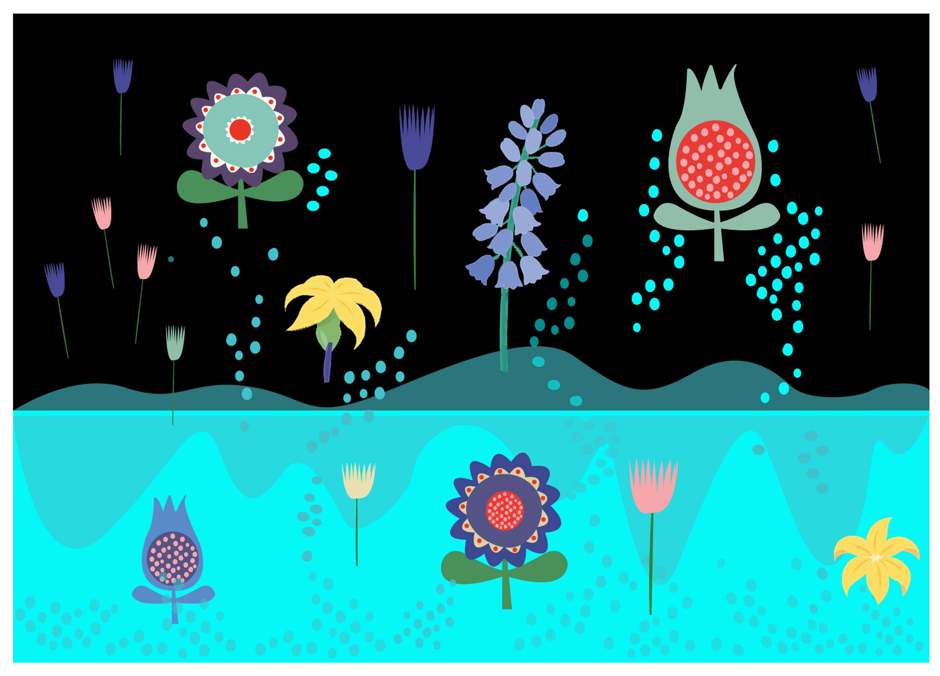 EFFLORESCENCE Book by Adina Bostinaru