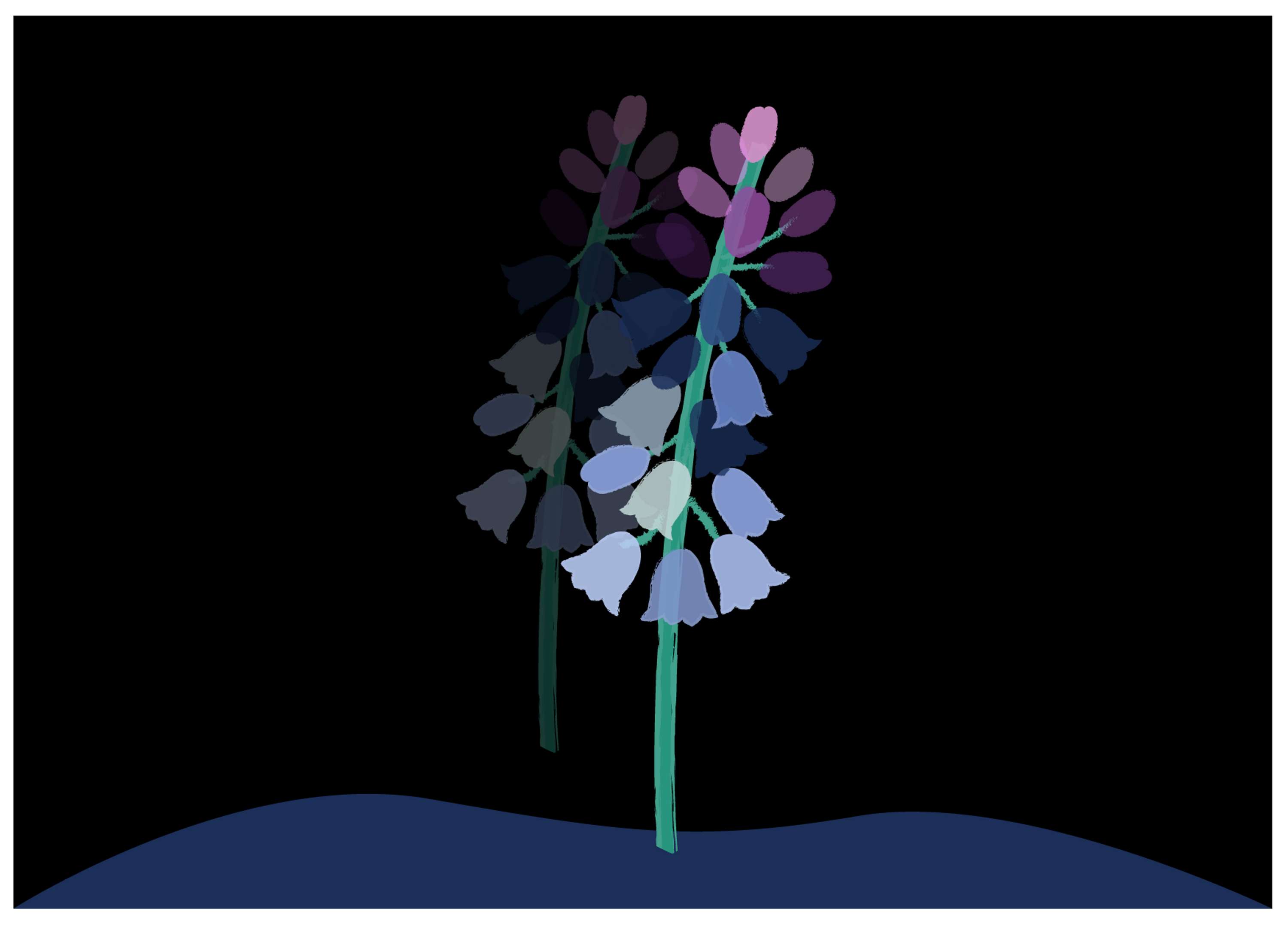 EFFLORESCENCE Book by Adina Bostinaru