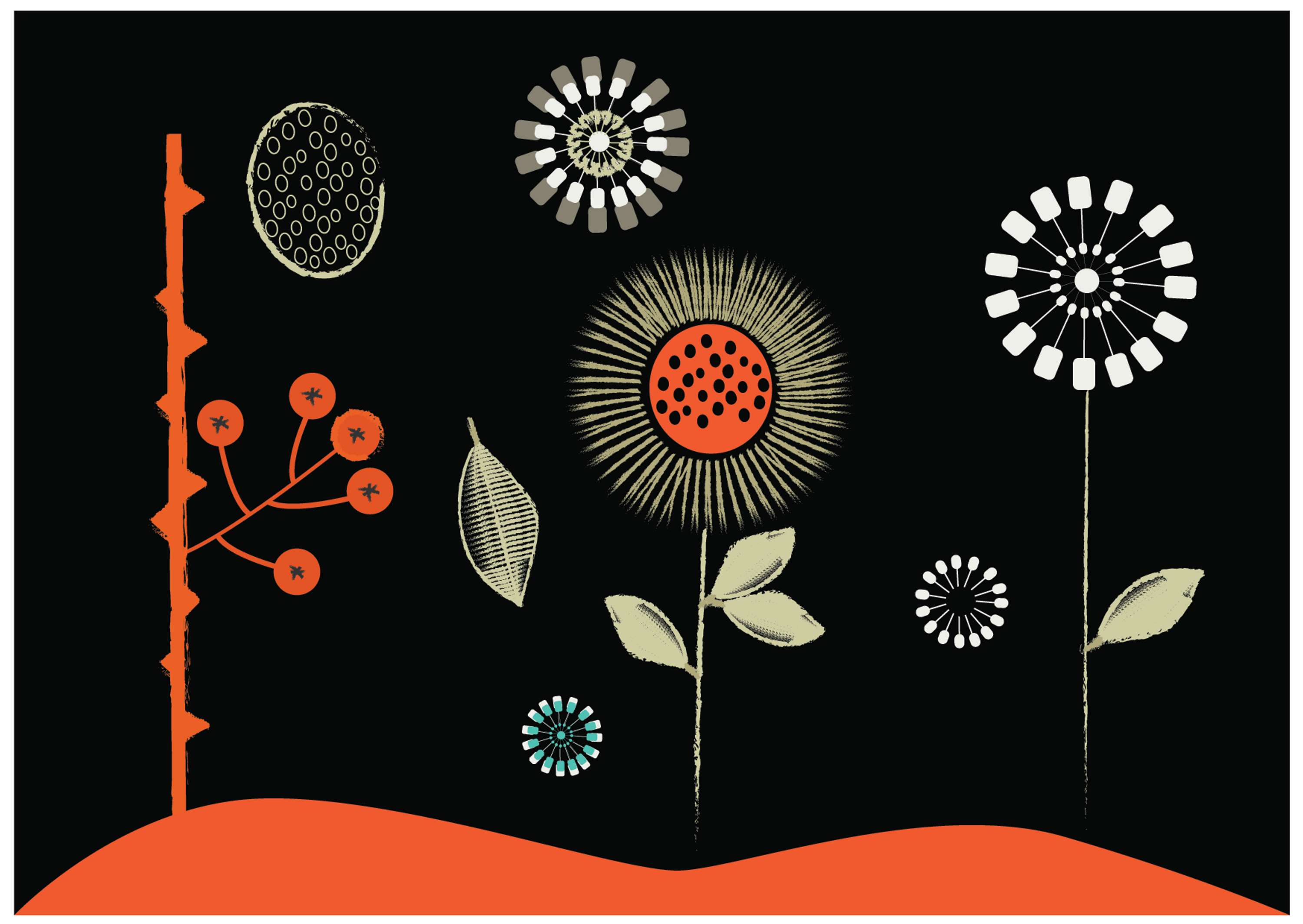 EFFLORESCENCE Book by Adina Bostinaru