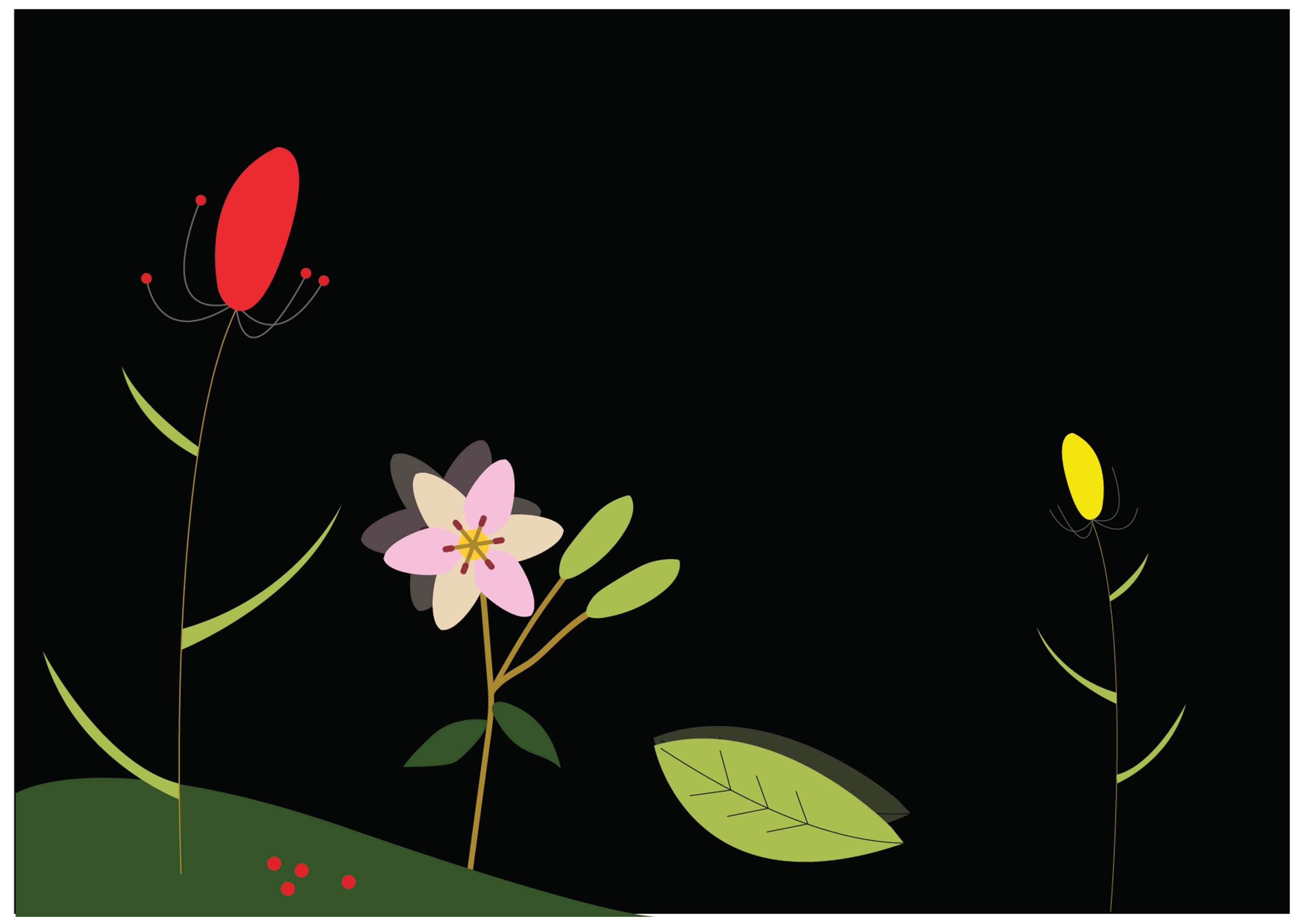 EFFLORESCENCE Book by Adina Bostinaru