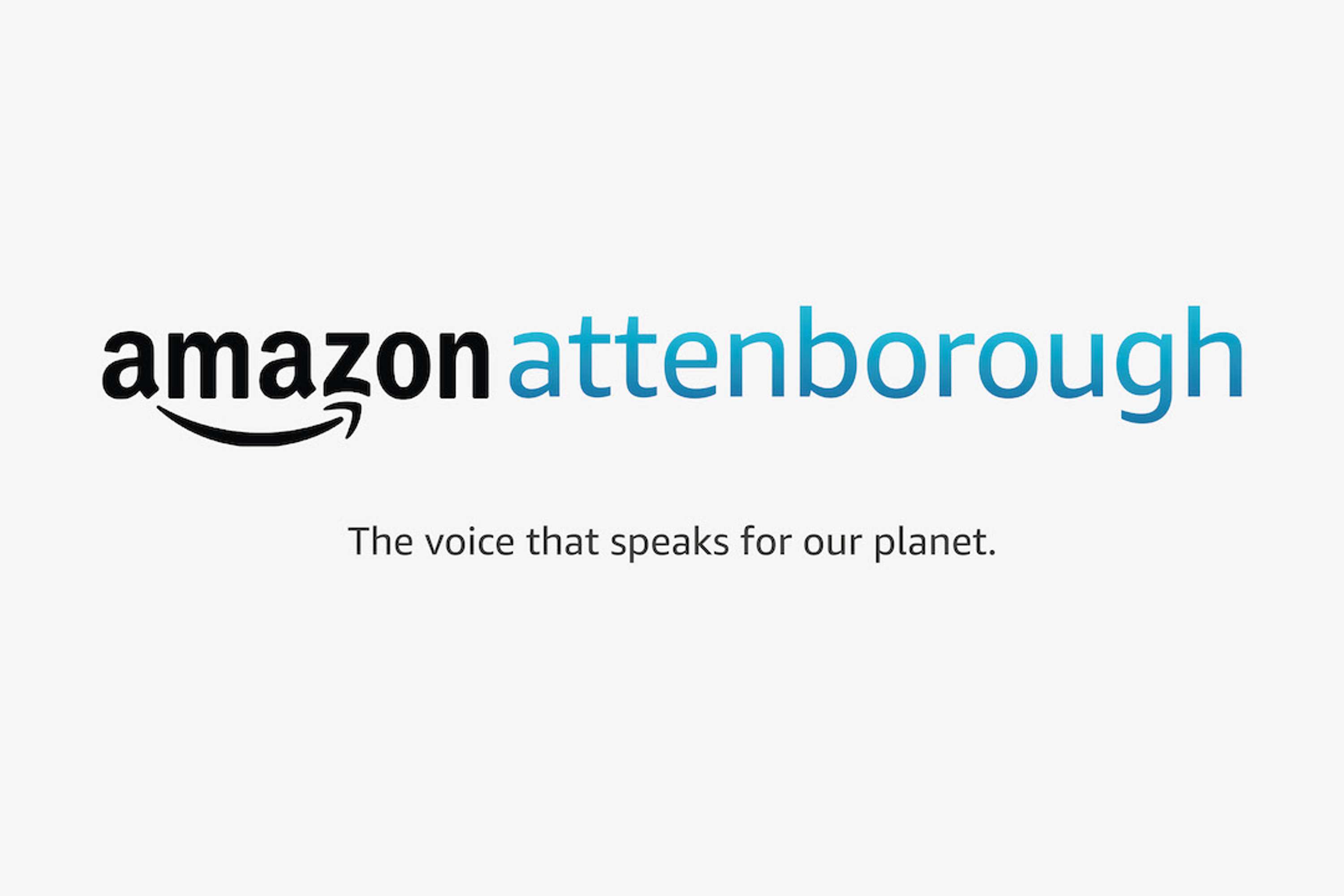 Amazon Attenborough by Hattie Evans