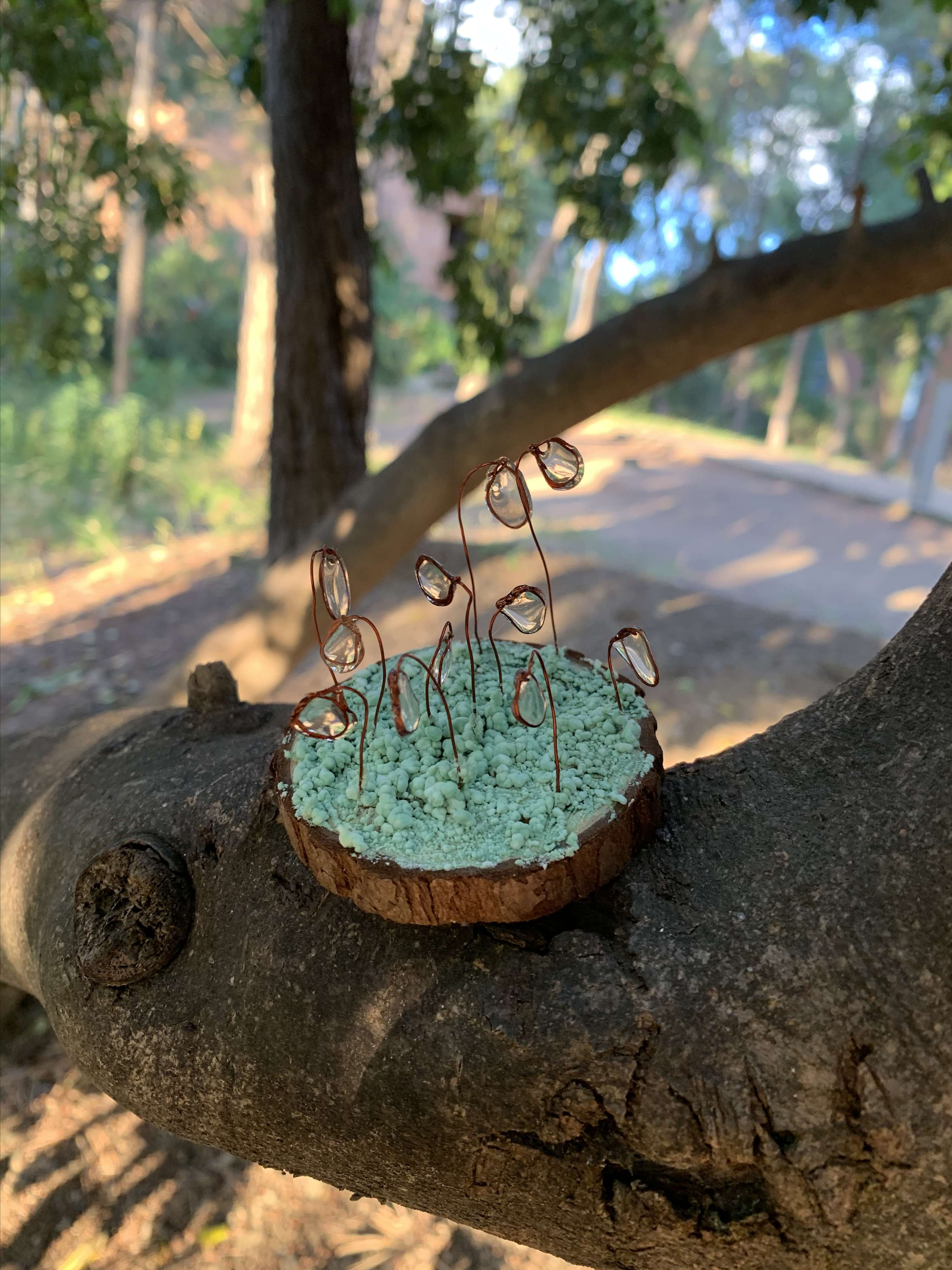 Small World by Sara Cols