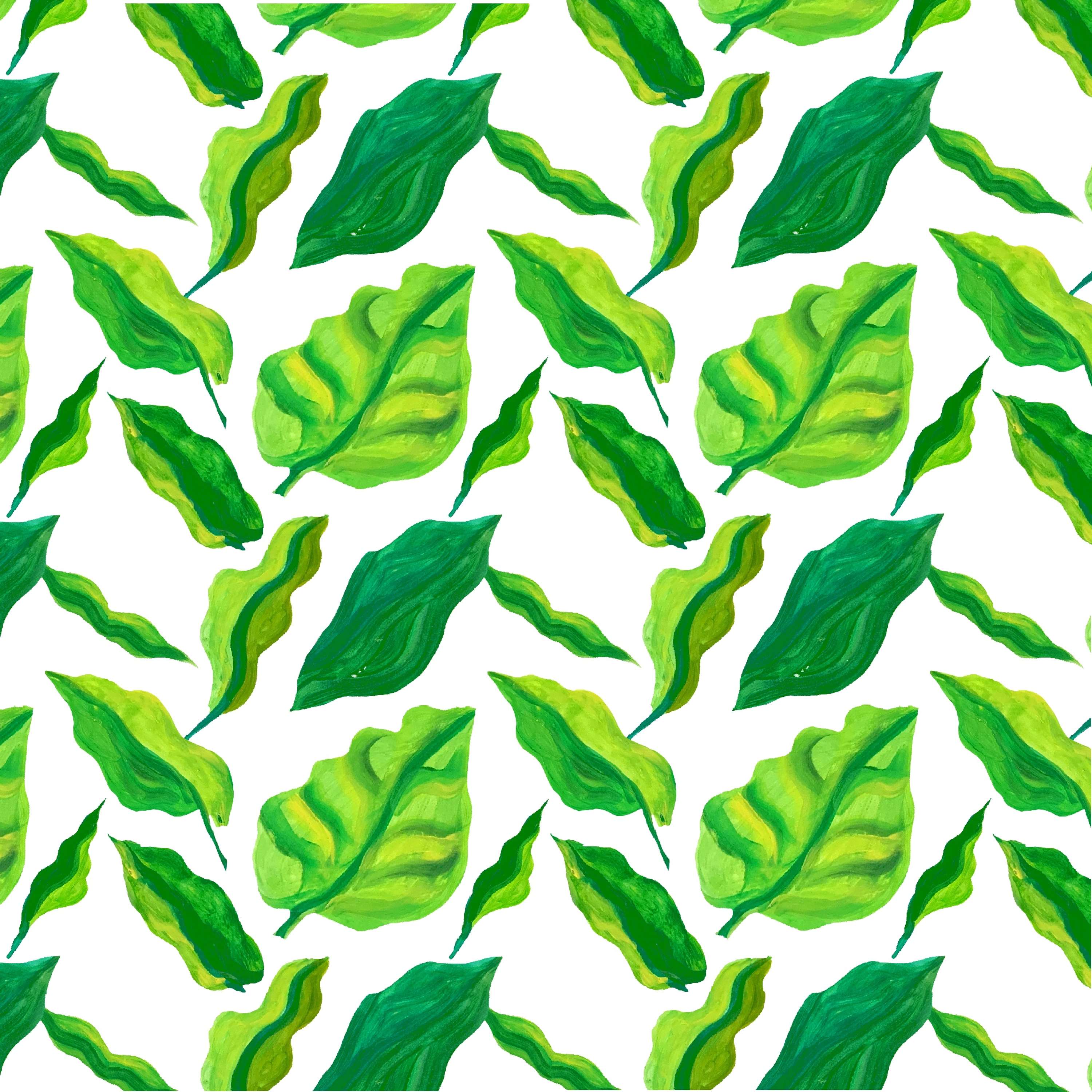 Eden patterns by Jacqueline Murrell