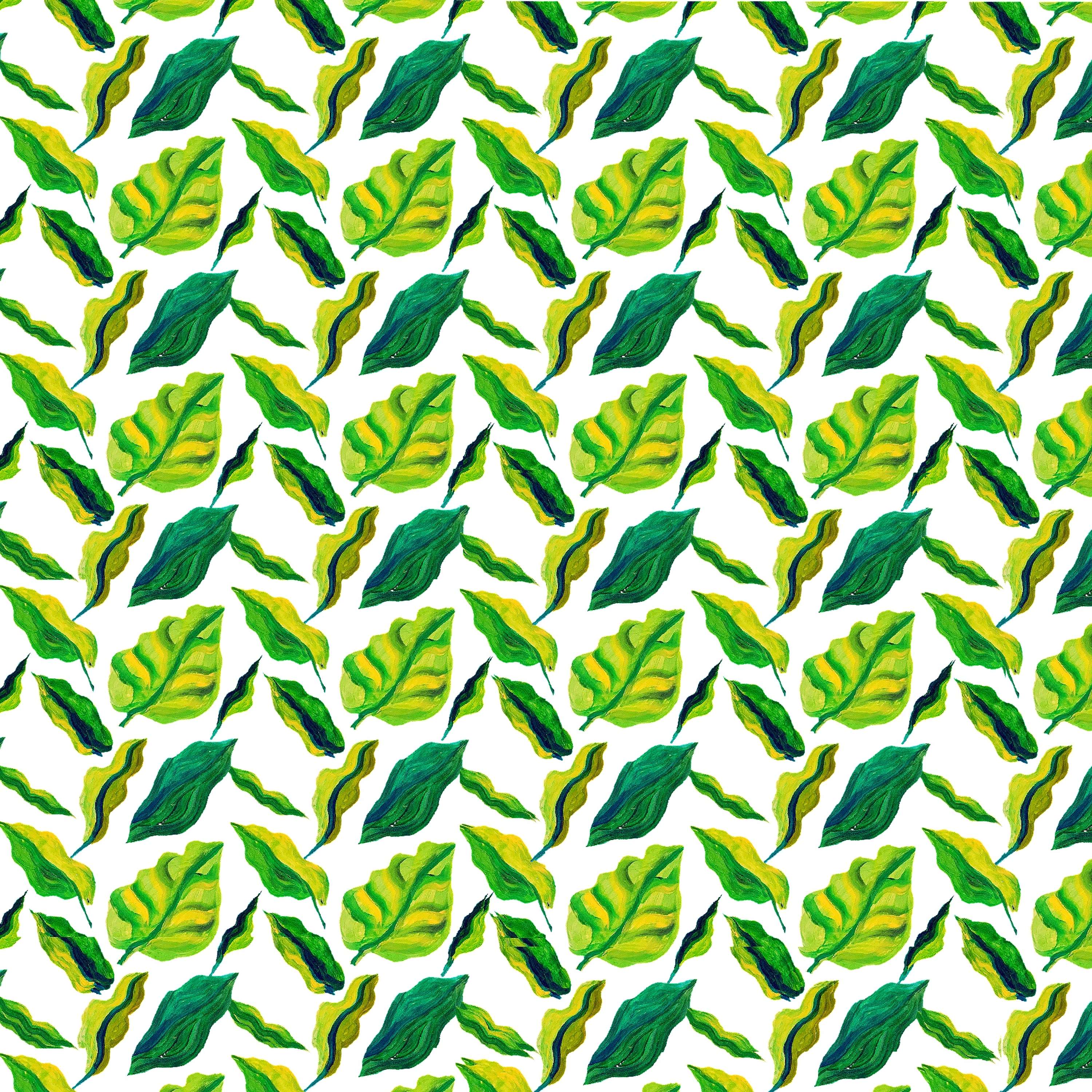 Eden patterns by Jacqueline Murrell