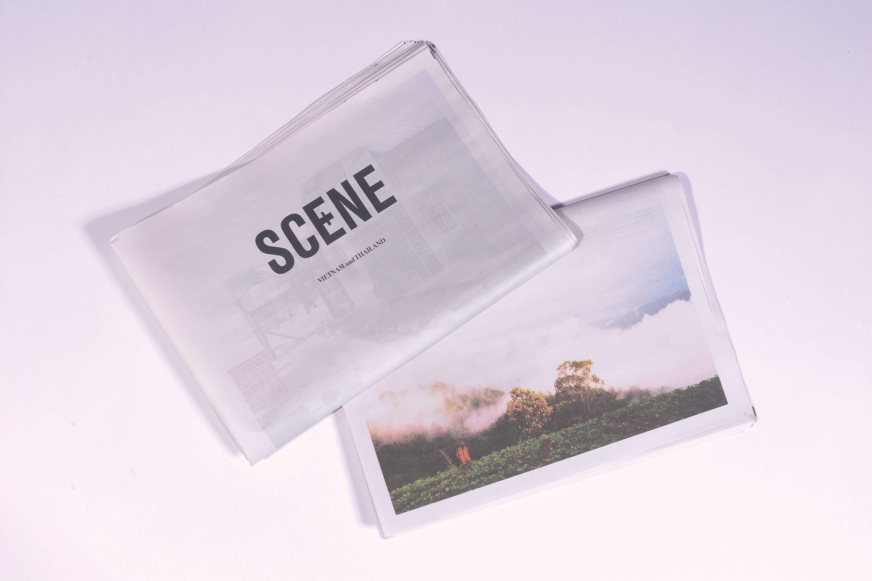 SCENE by Phoebe Wingrove
