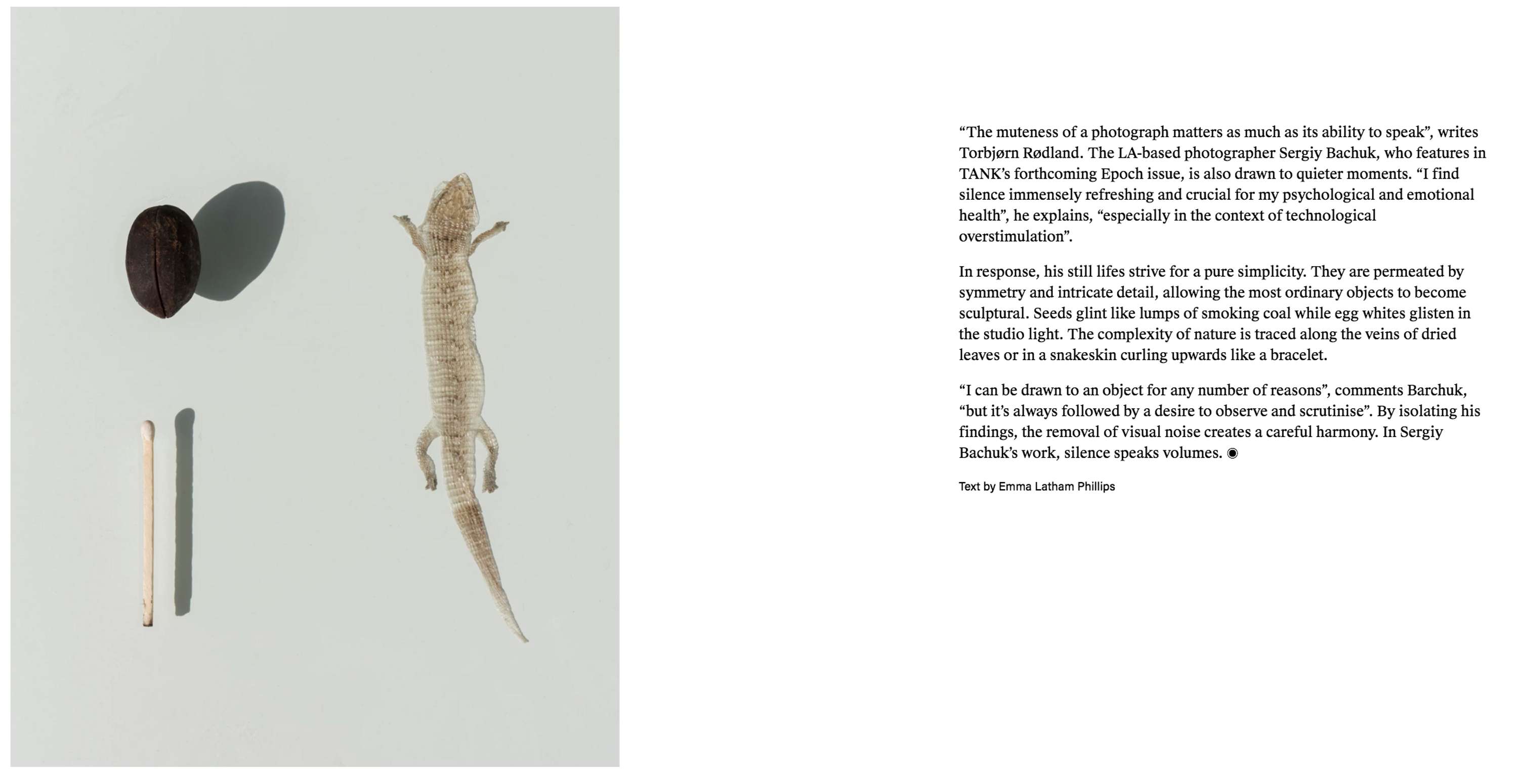 Writing for TANK by Emma Latham Phillips