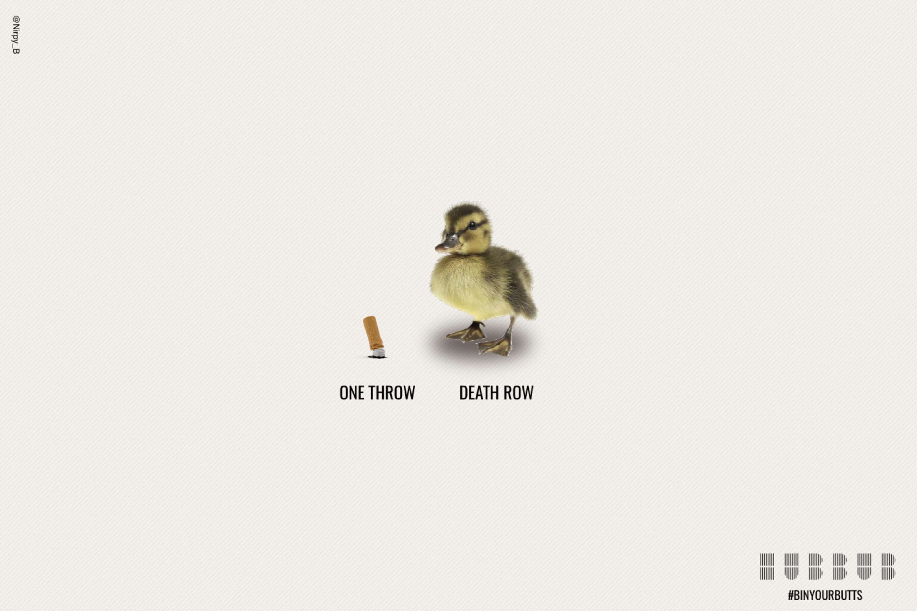 Do not feed the ducks. by Nirpal Bansel