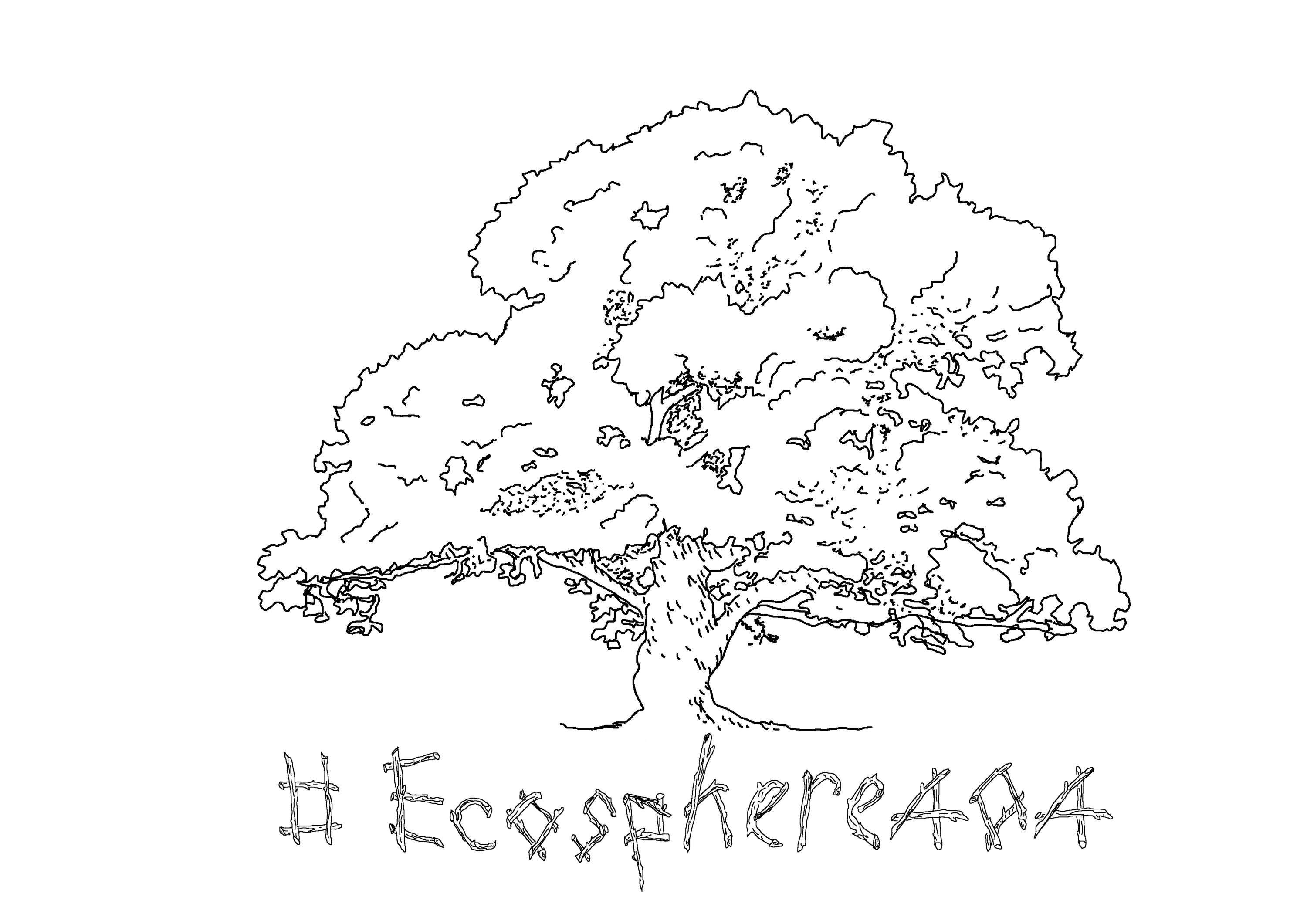Ecosphere 404 by Angelina Mounsey