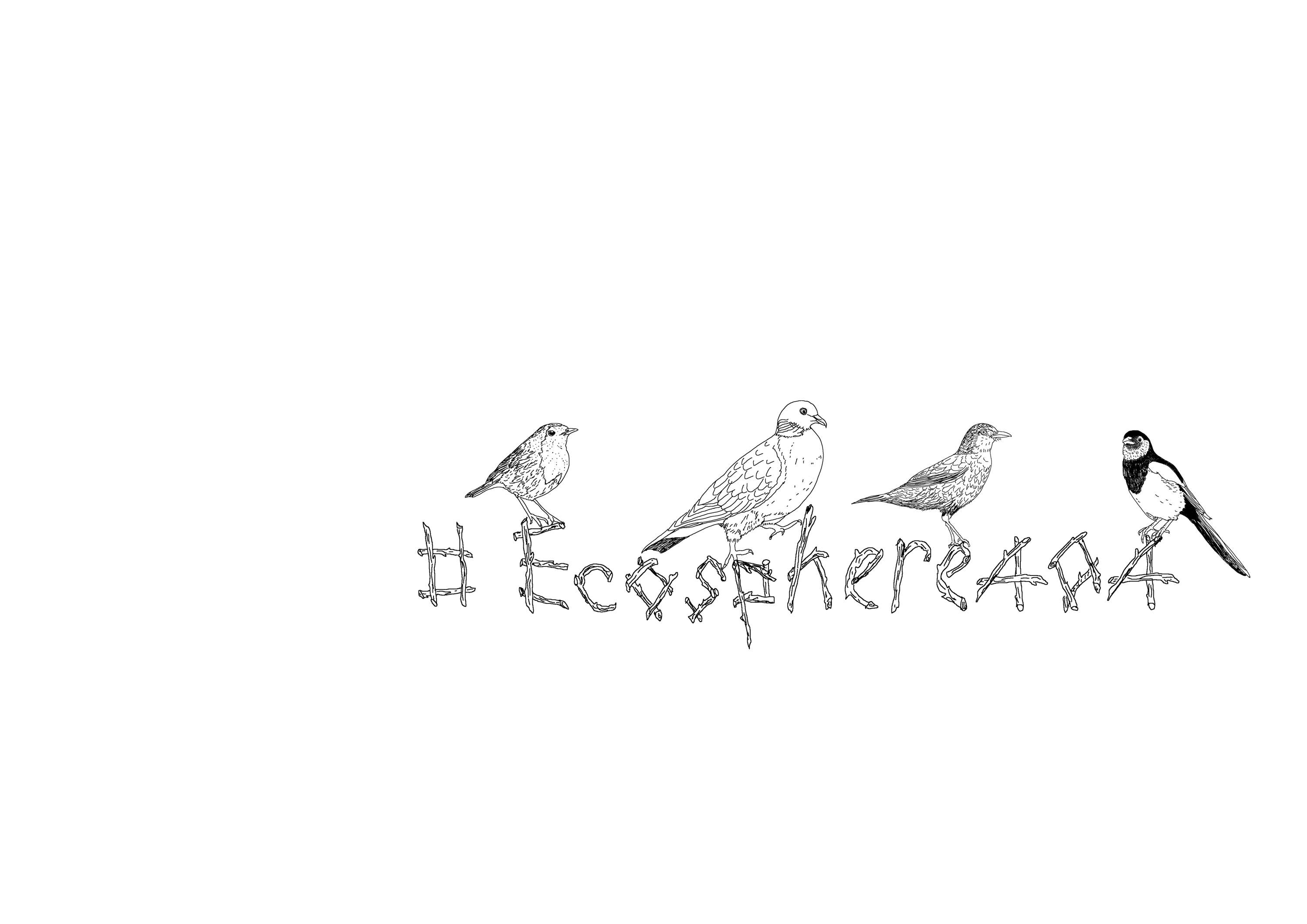Ecosphere 404 by Angelina Mounsey