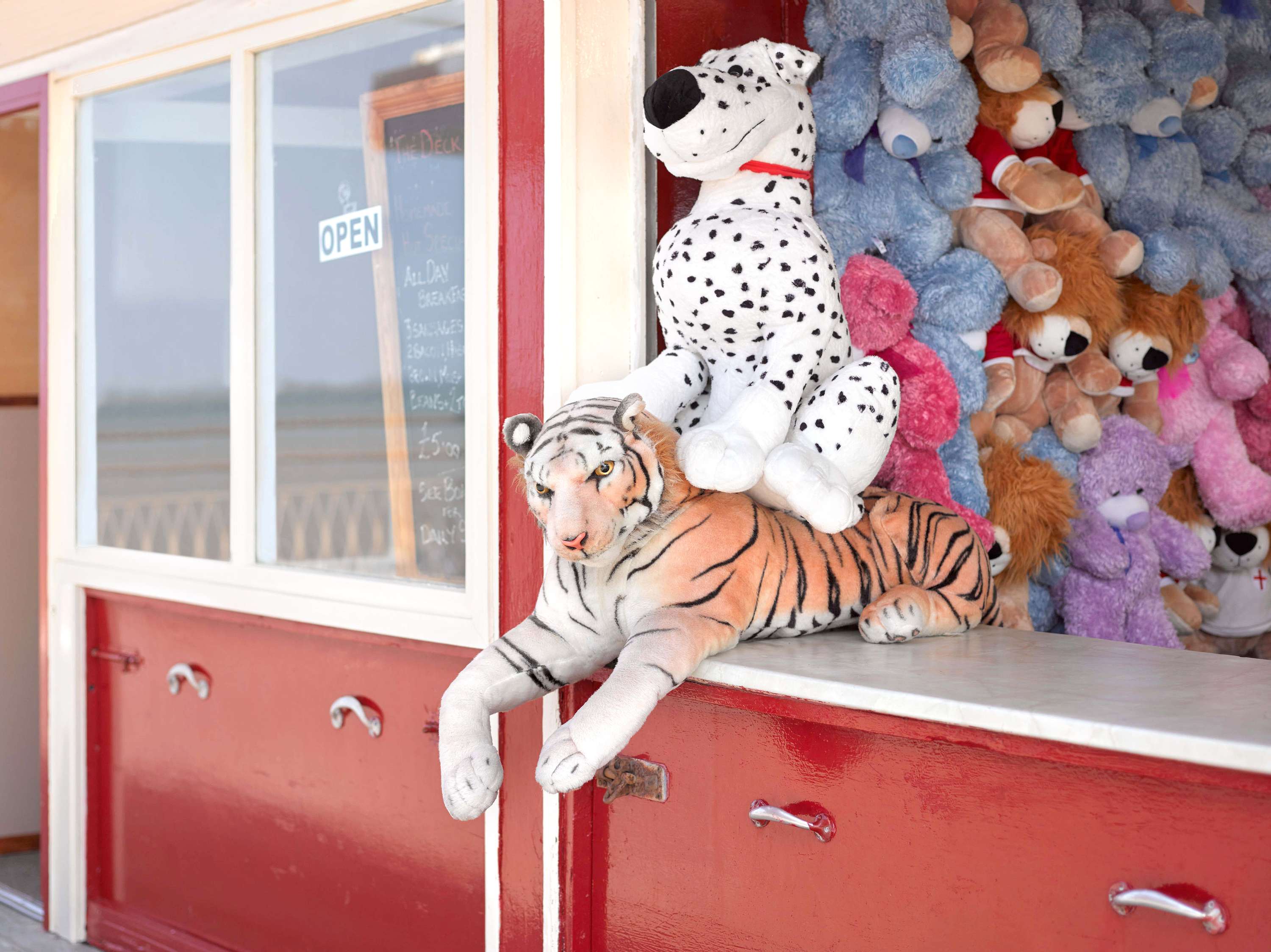 Day Trippers by Shaw & Shaw Photographers