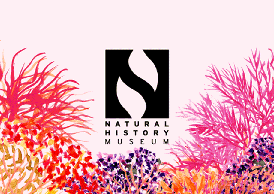 Natural History Museum Hypothetical Rebrand by Diana Marais