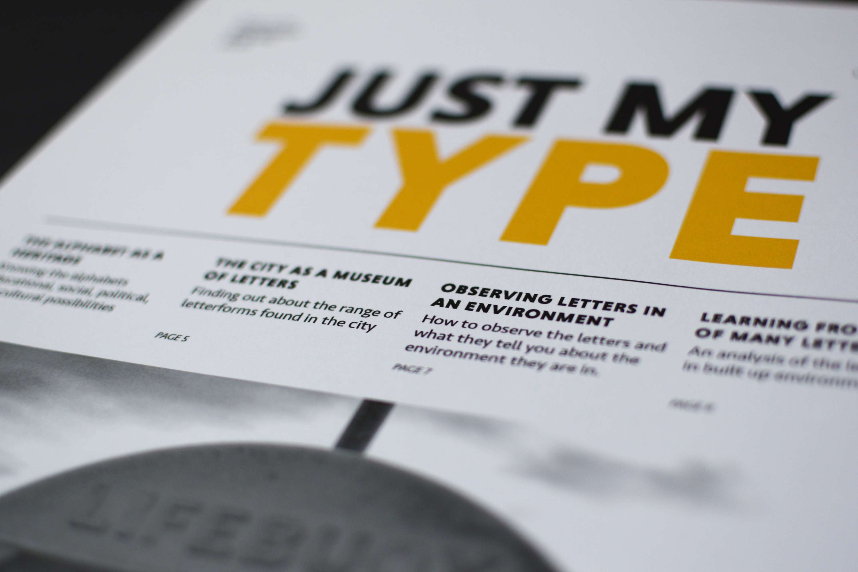 Just My Type by Iona French