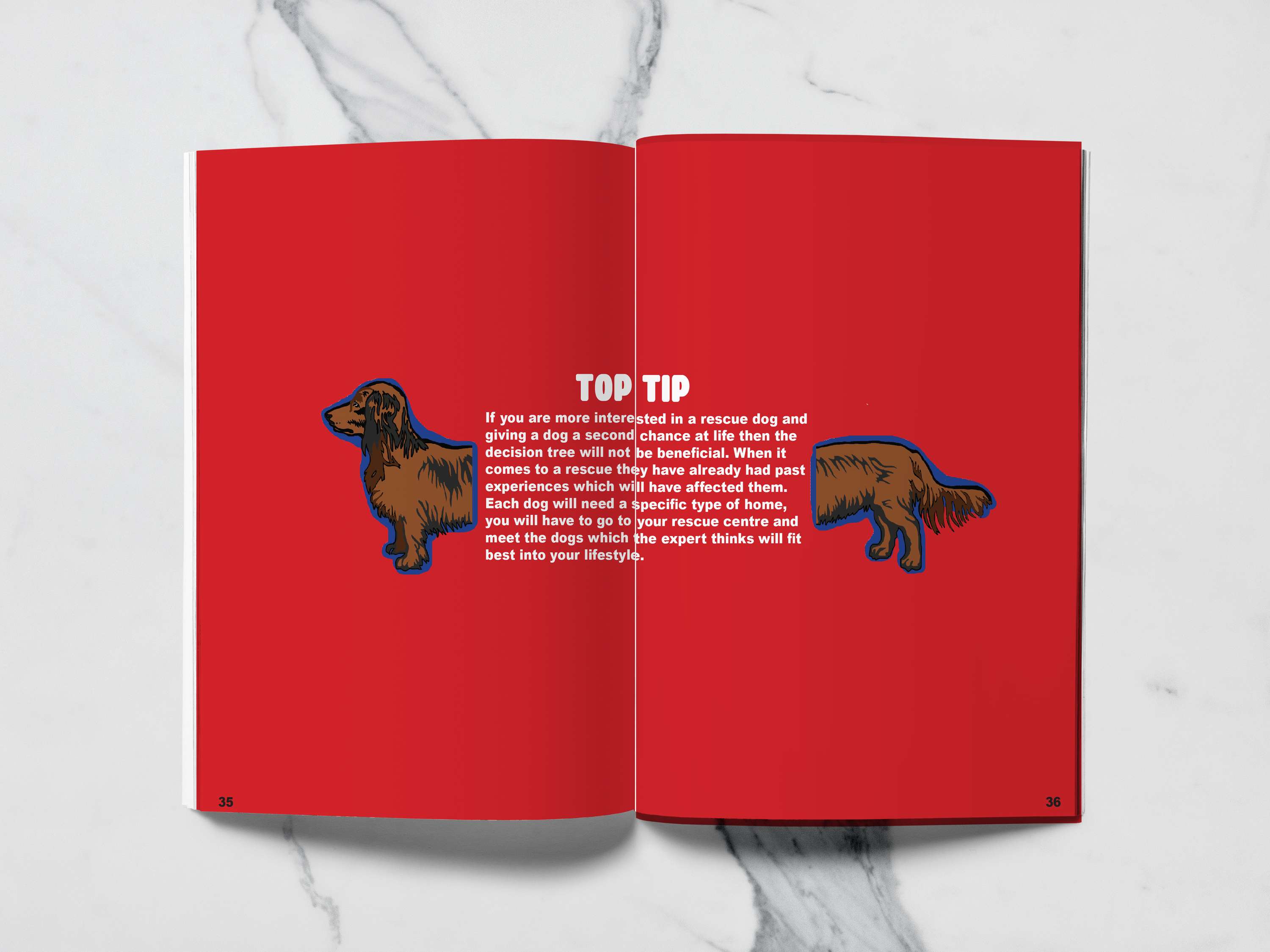 RSPCA Booklet by Katie Gray