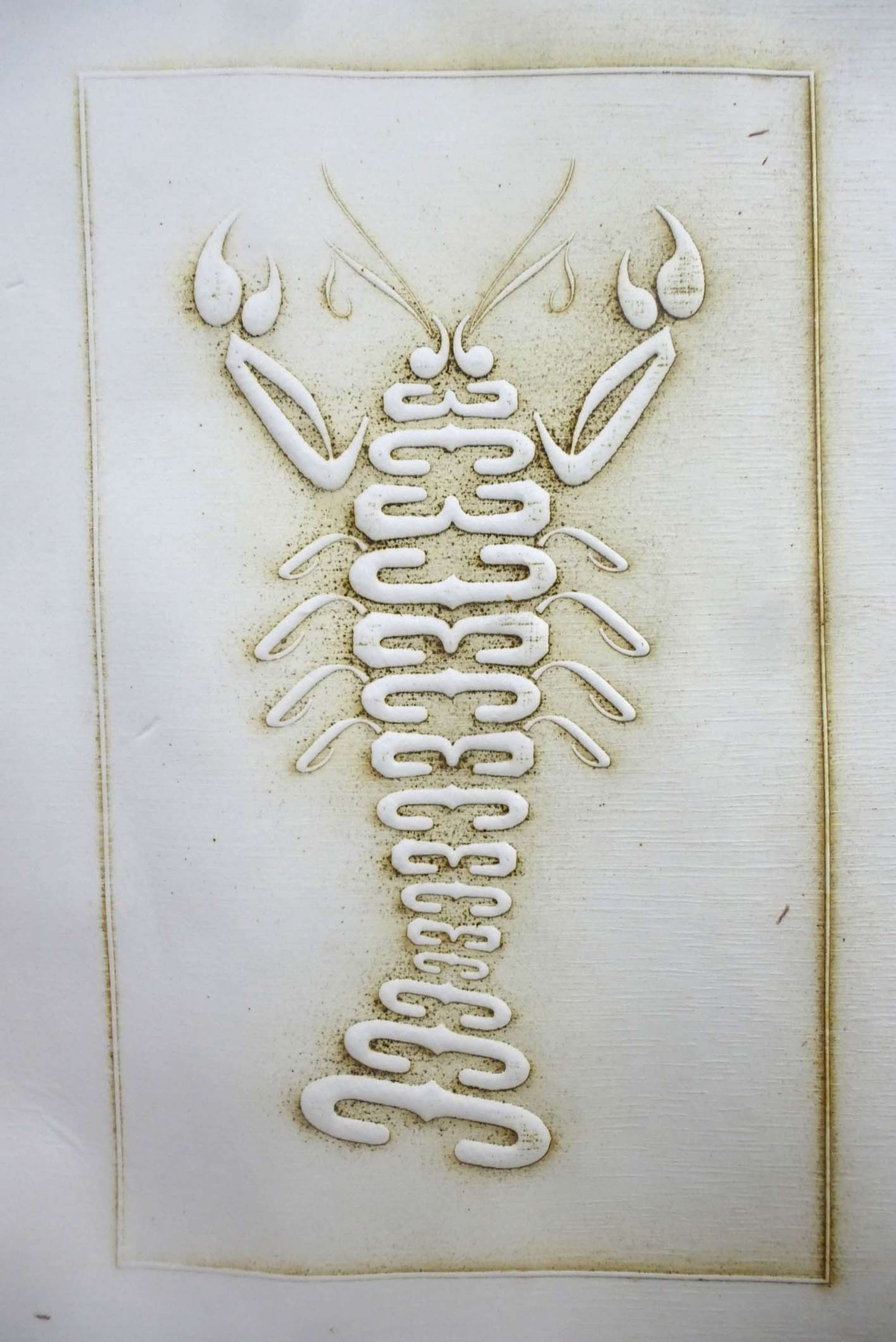 Typographic Specimens by andrew bainbridge