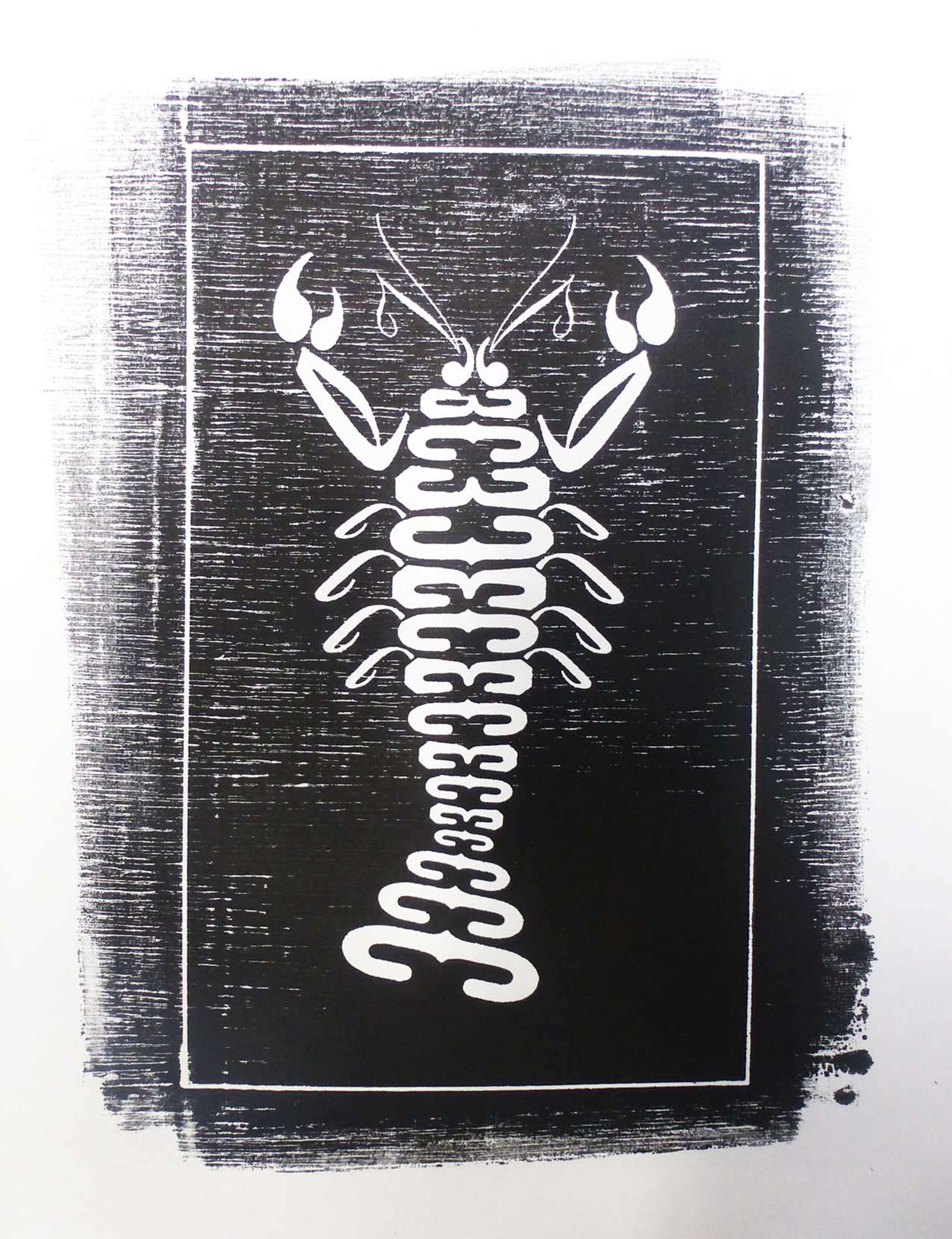 Typographic Specimens by andrew bainbridge