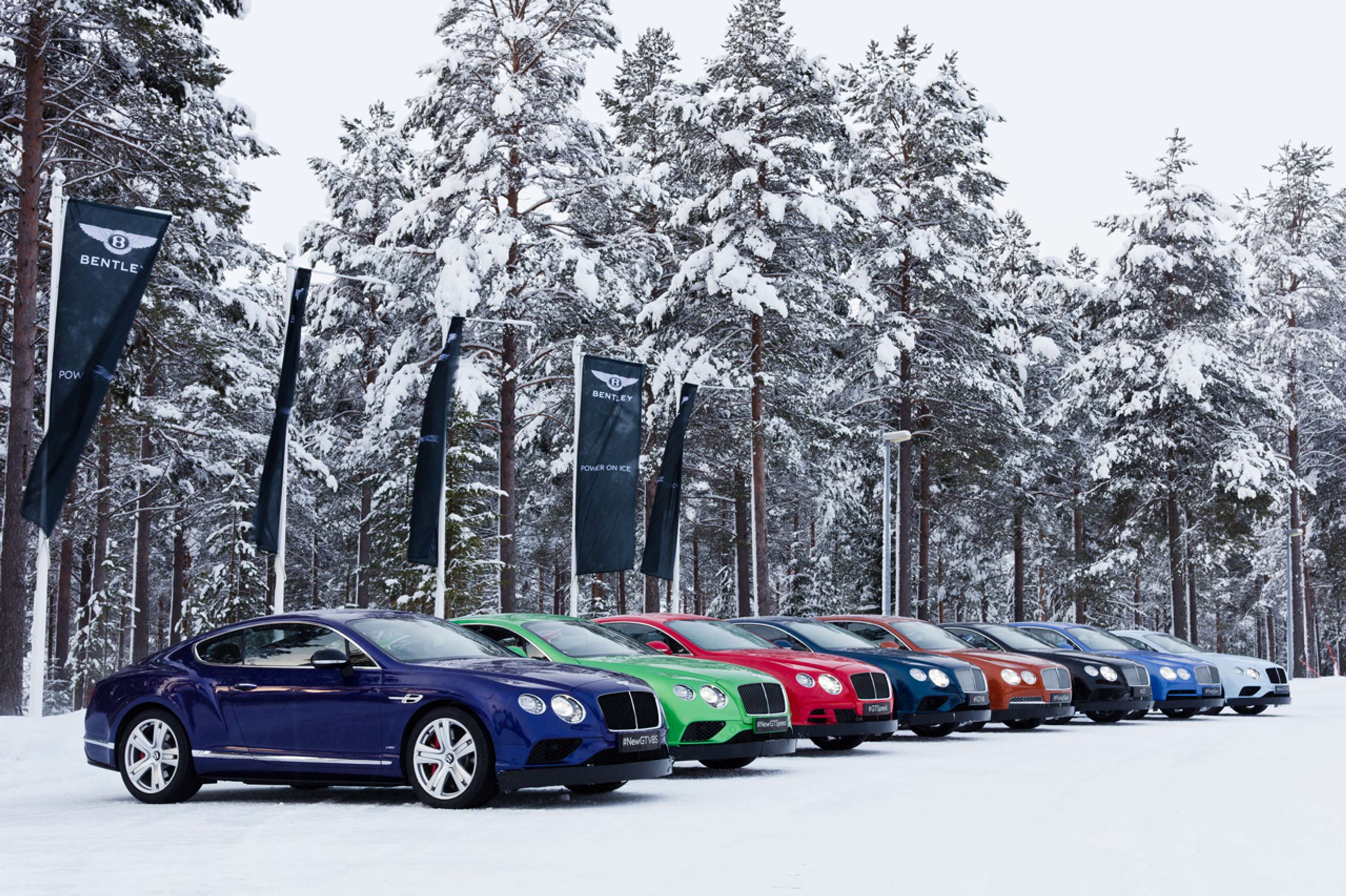 Bentley Power On Ice by Lauren Haynes