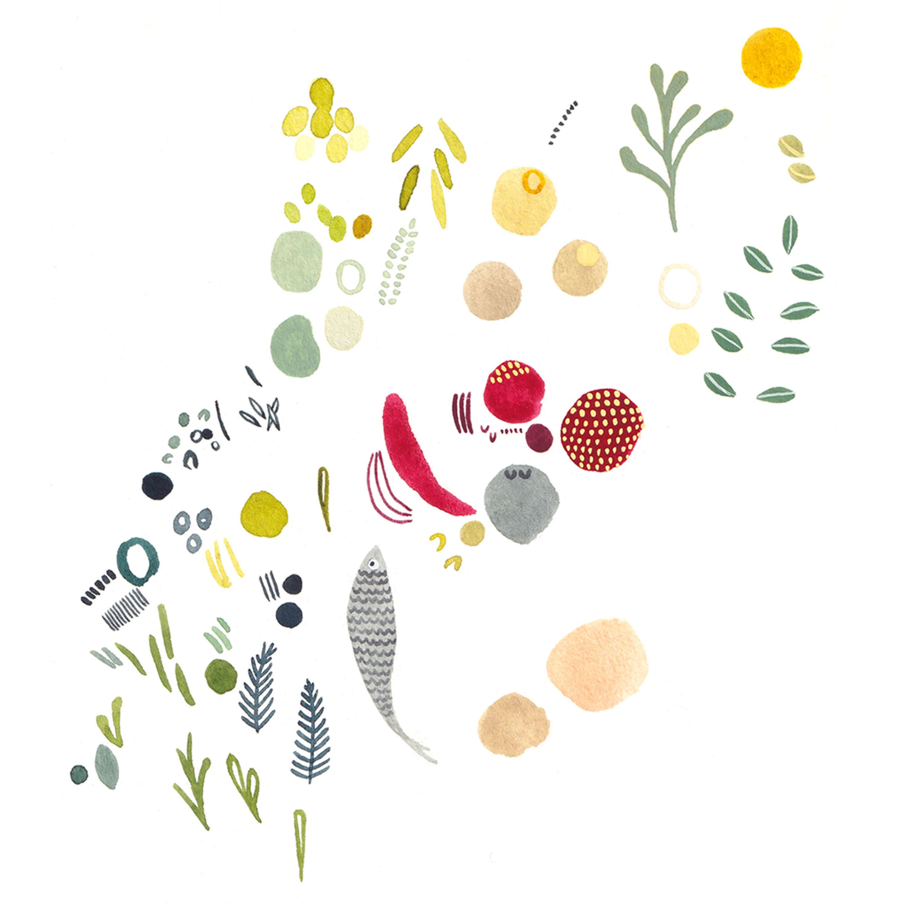 Sketches and Illustrations - Salt and Wonder Magazine Editorial by Rosie Leech