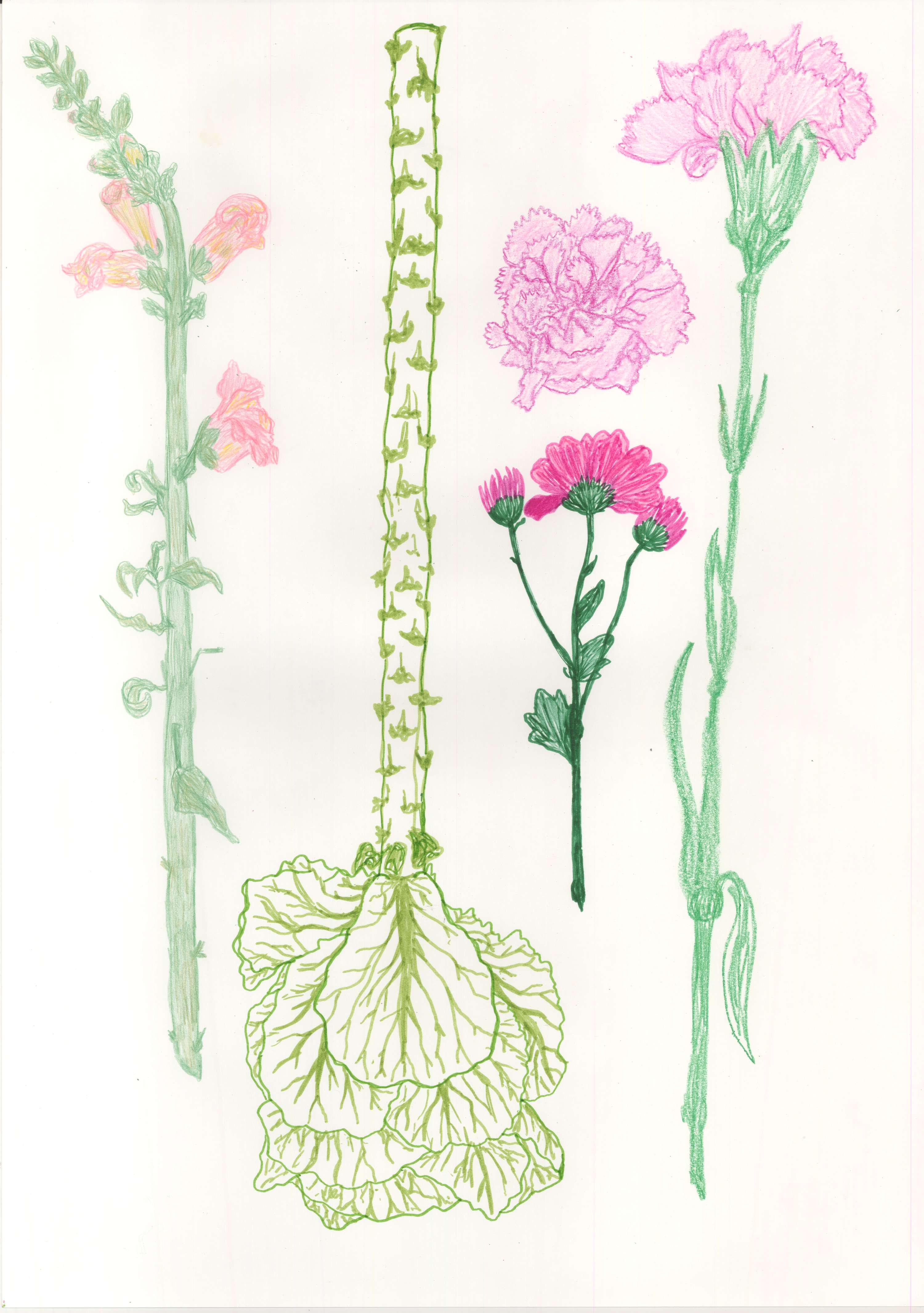 Minor Project - Connections by Amelia Paveley