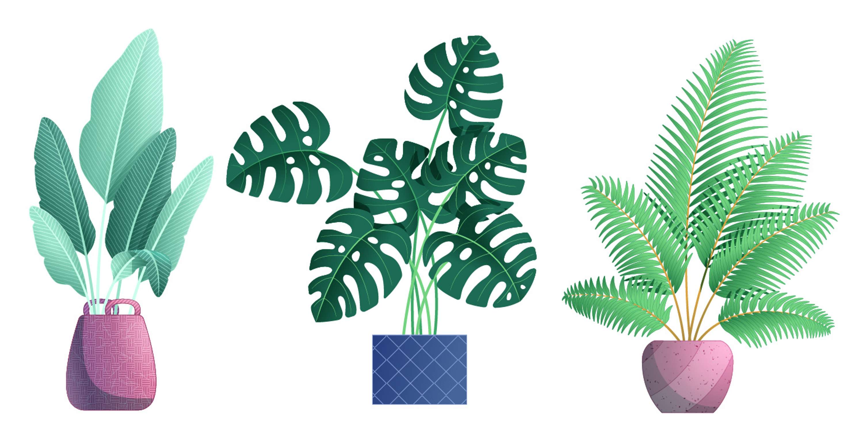 Welcome to the (indoor) Jungle by Amanda Lima