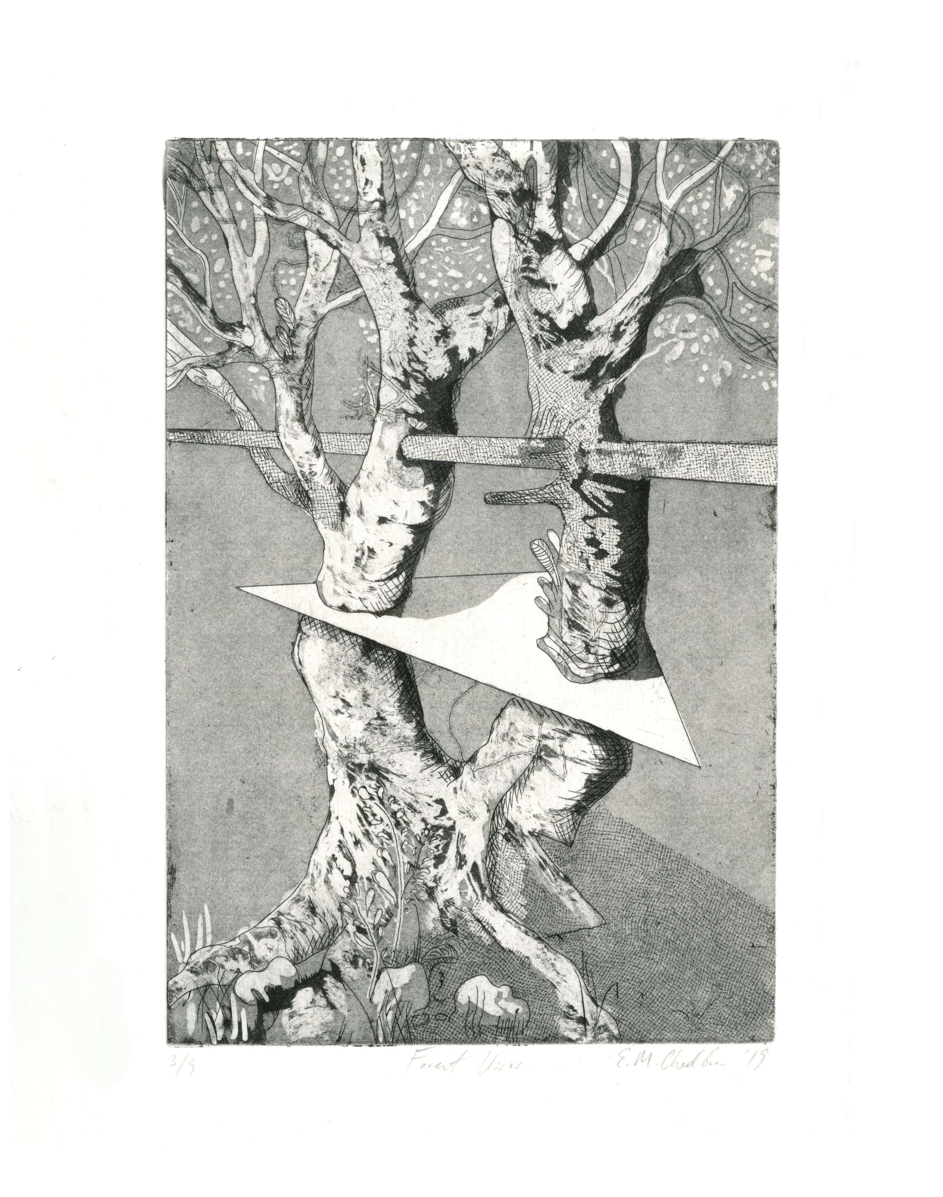 Printmaking: Geometric Shapes and Natural Forms by Ella Chedburn