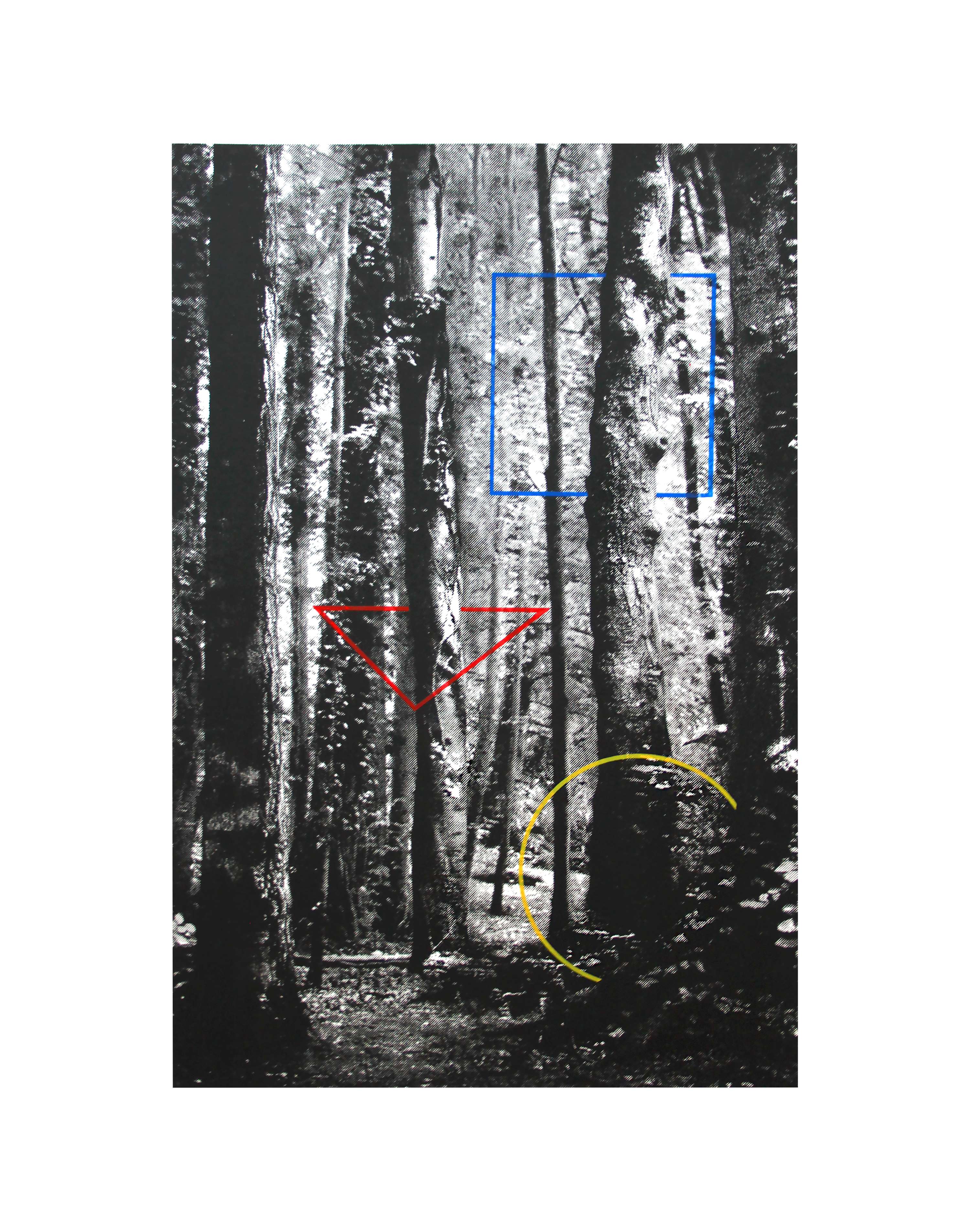 Printmaking: Geometric Shapes and Natural Forms by Ella Chedburn