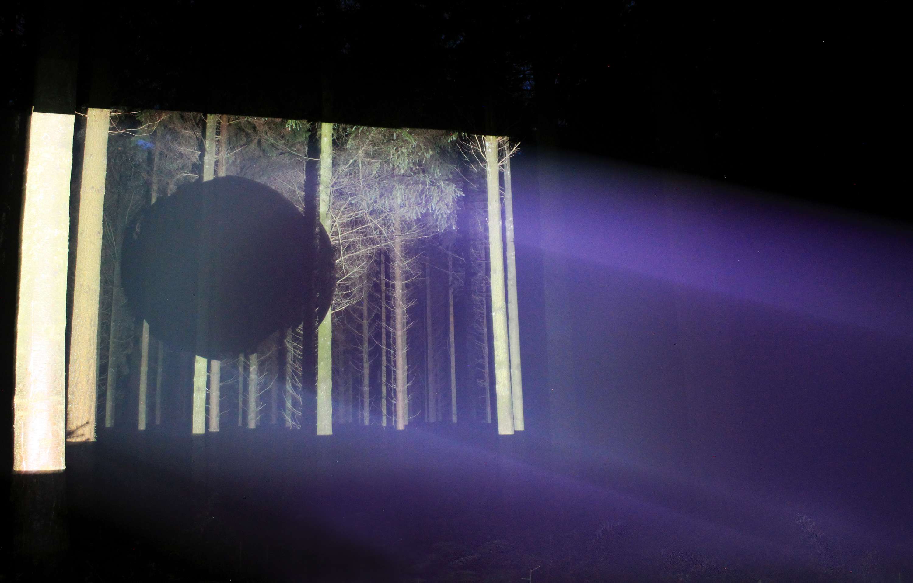 Forest Light Installation by Ella Chedburn