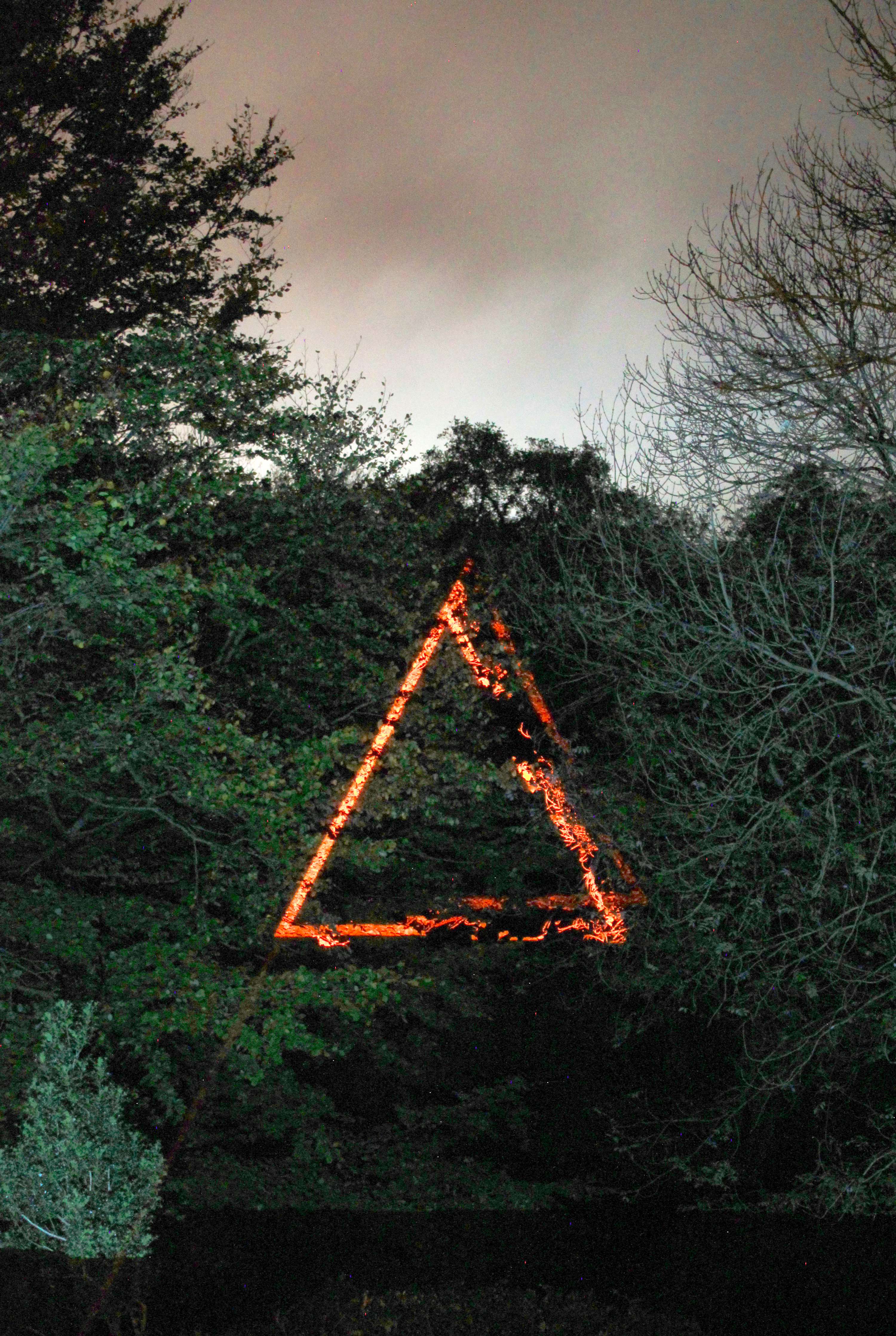 Forest Light Installation by Ella Chedburn