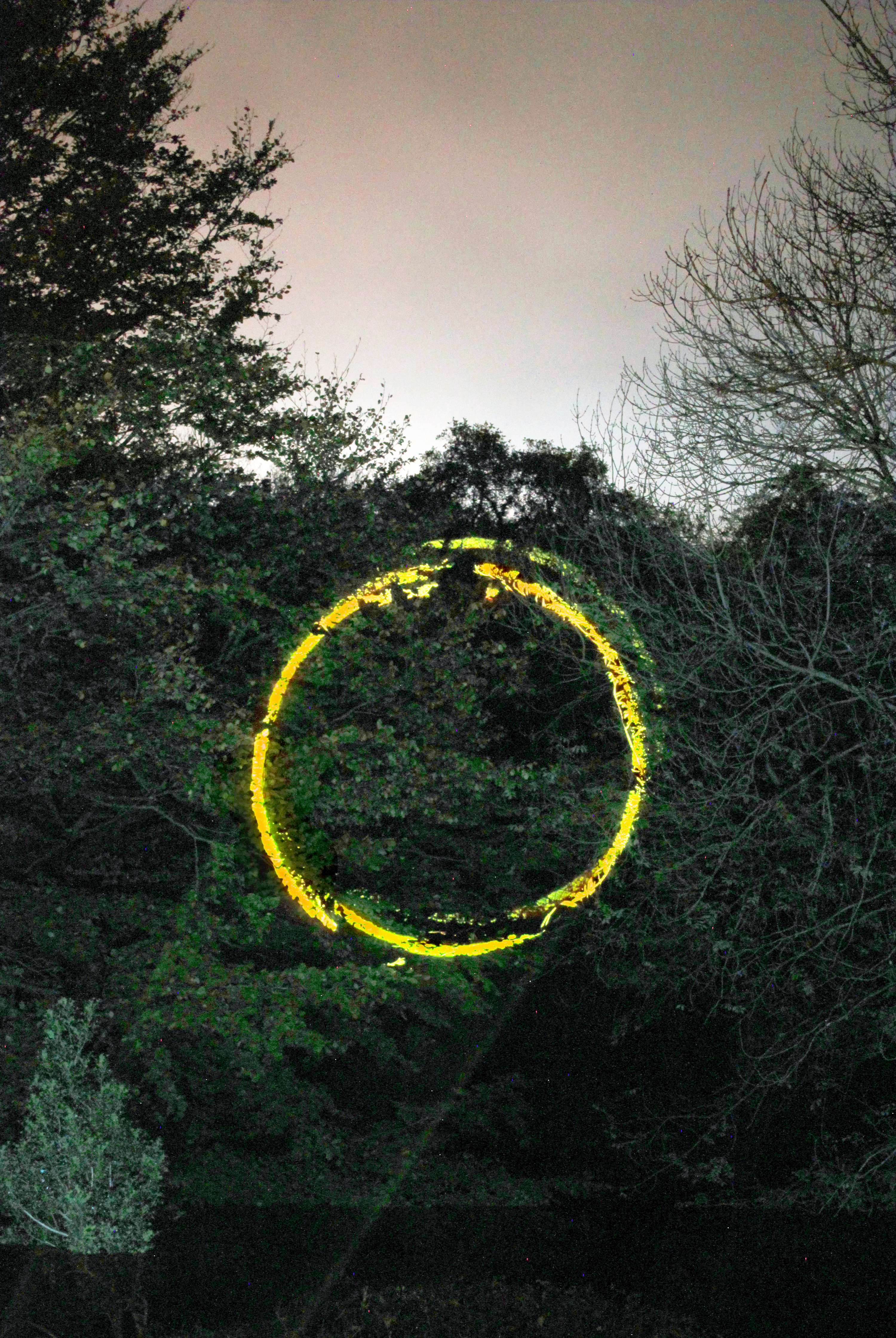 Forest Light Installation by Ella Chedburn
