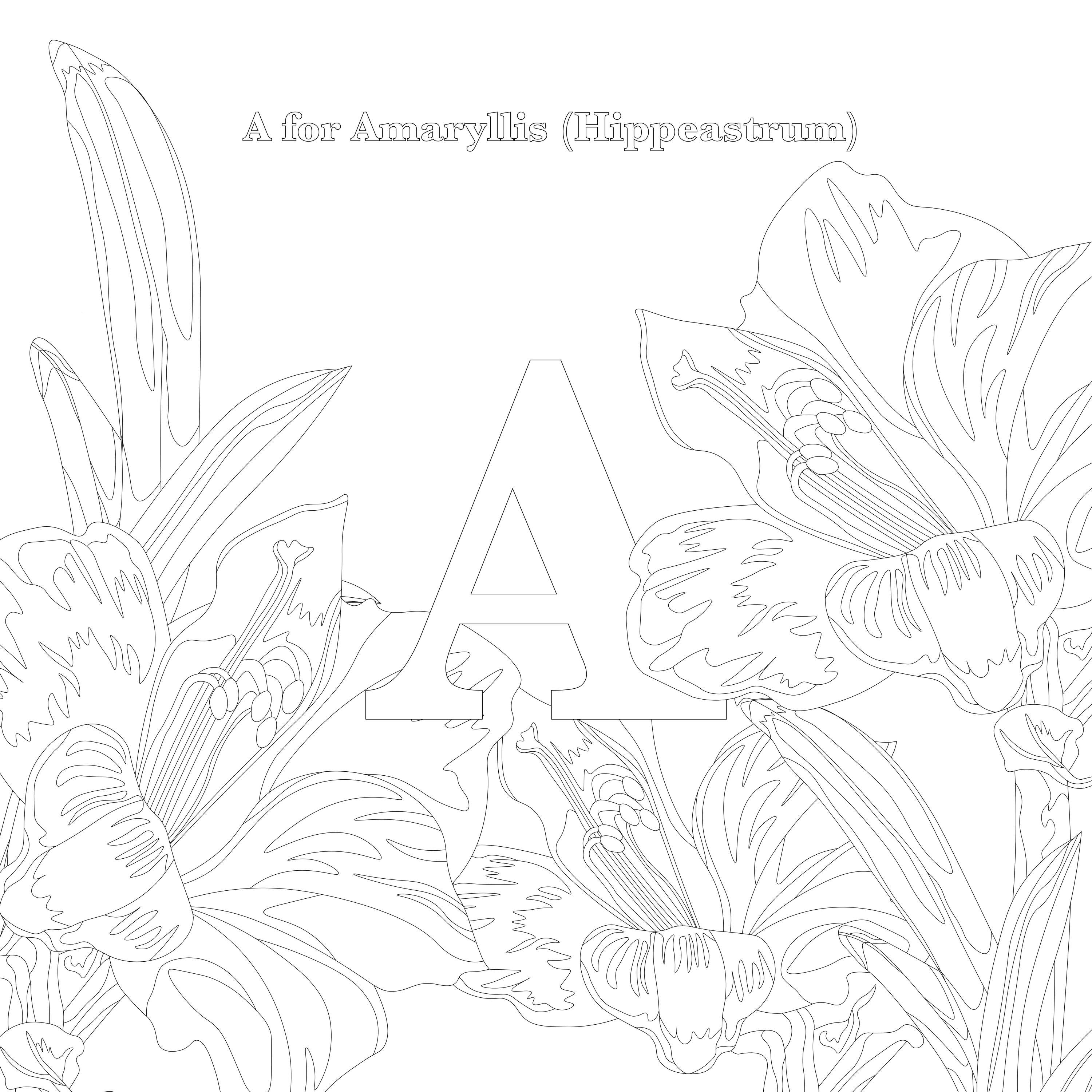 26 Days of Illustration by Alison Dominguez