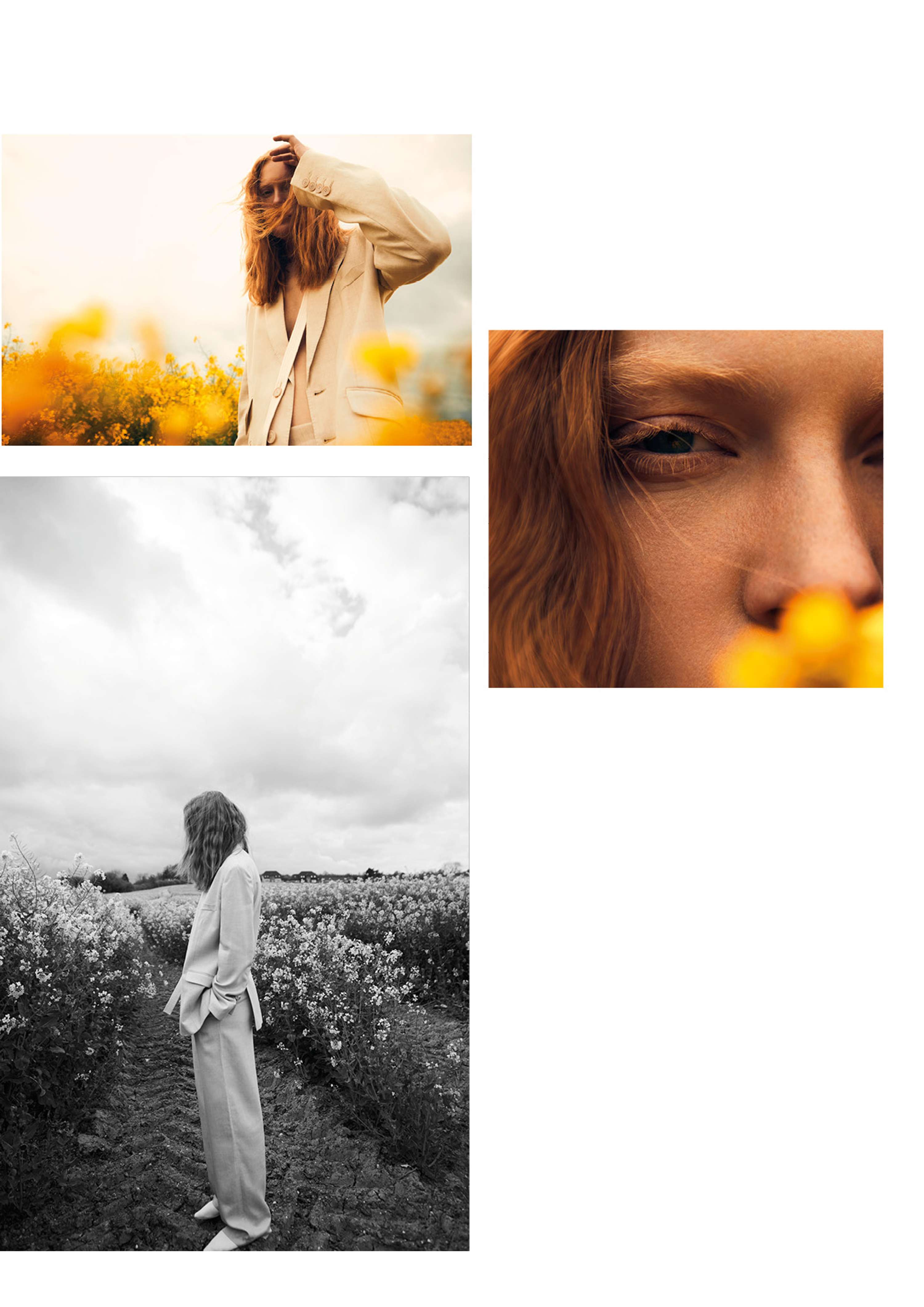 Last Light by Charlotte Watts