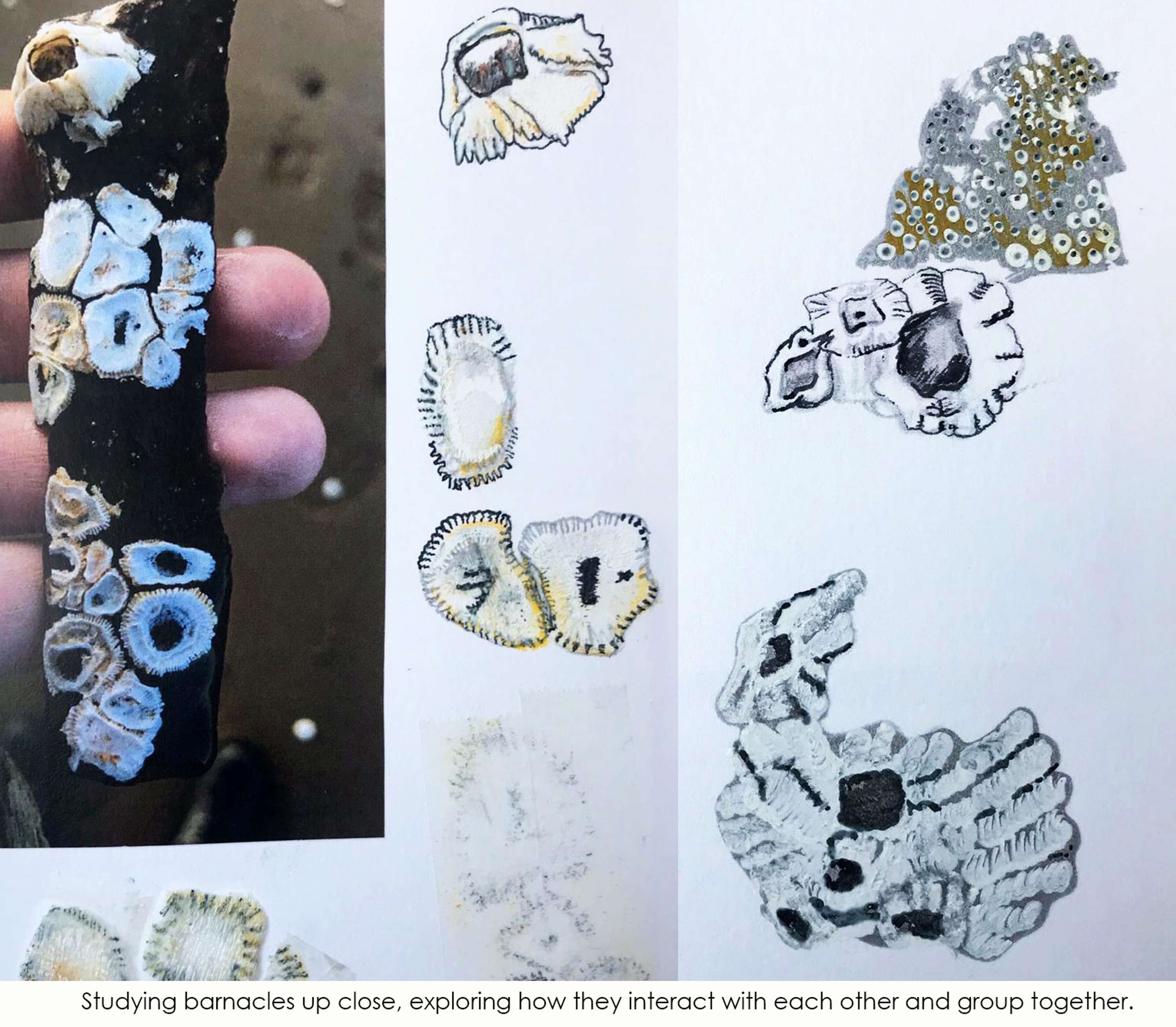 Final Year University Degree Show by Charl Gordon