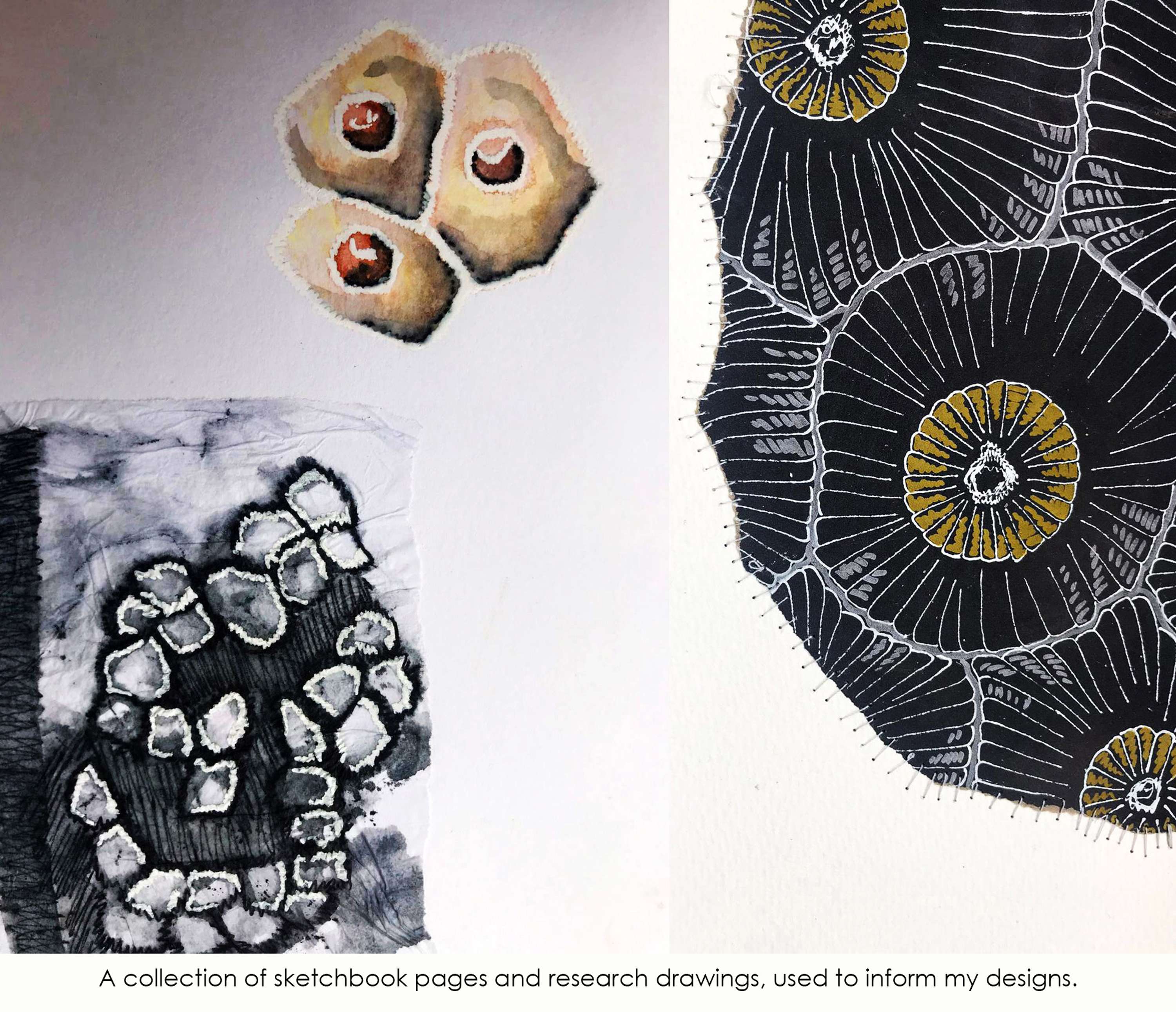 Final Year University Degree Show by Charl Gordon