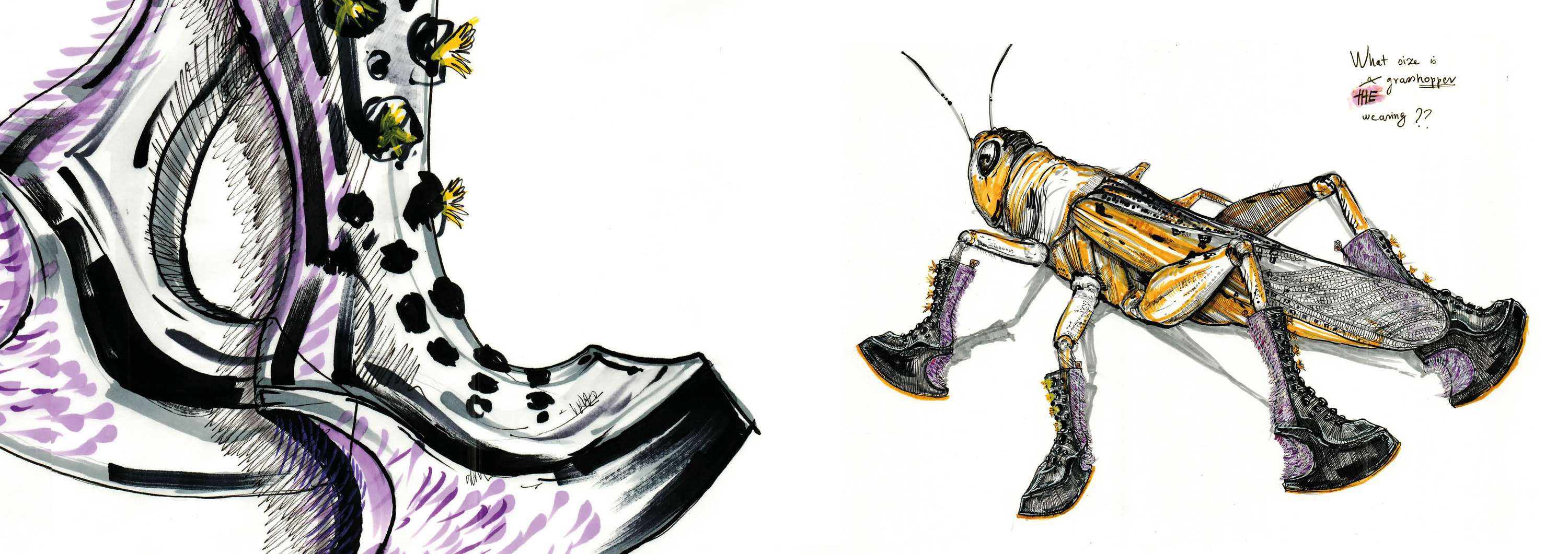 The Bug Designer by Anna Melegh