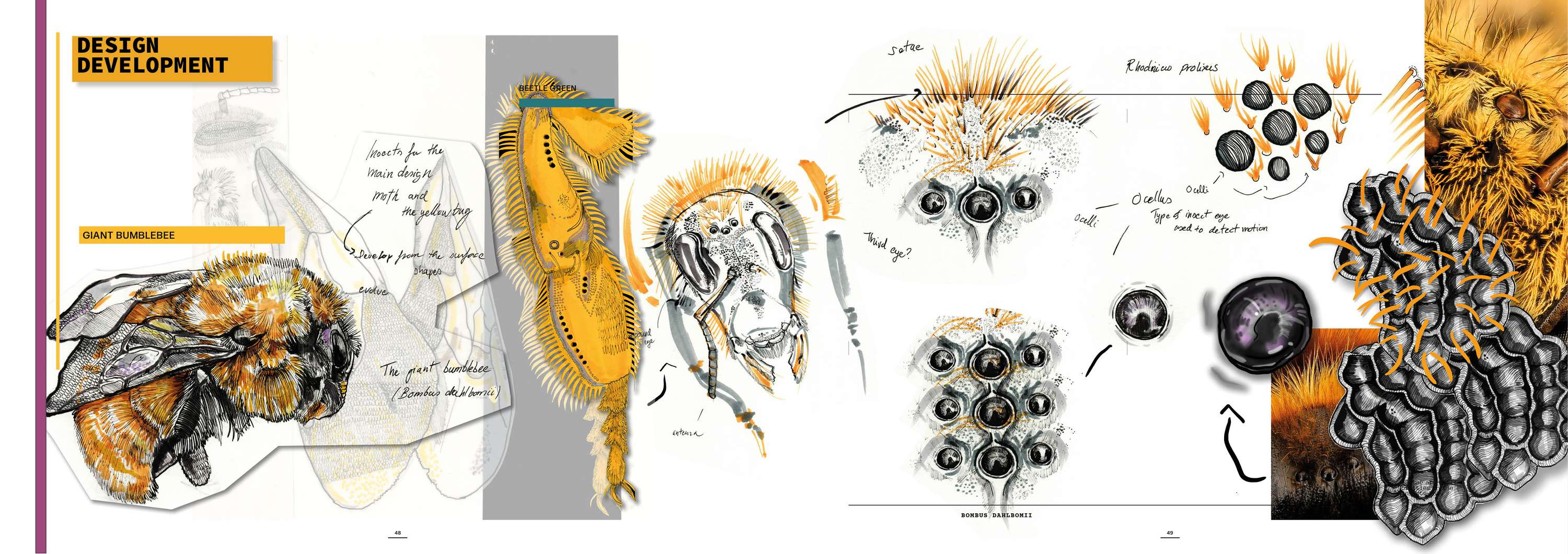 The Bug Designer by Anna Melegh