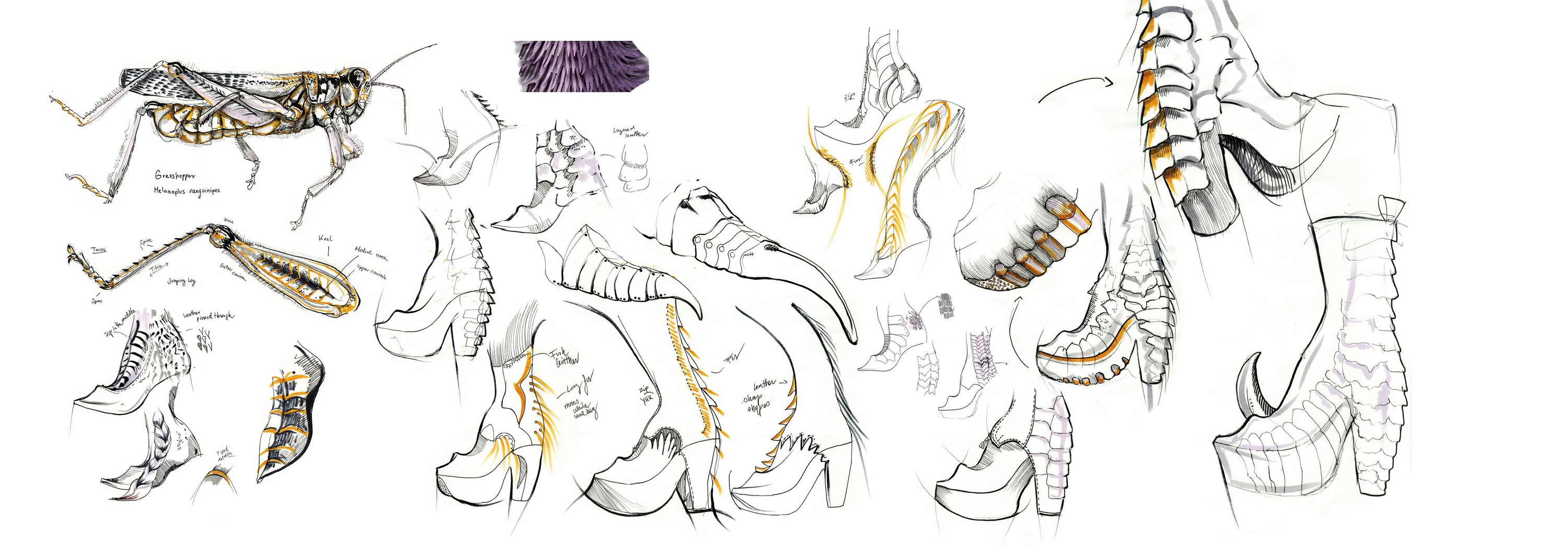 The Bug Designer by Anna Melegh