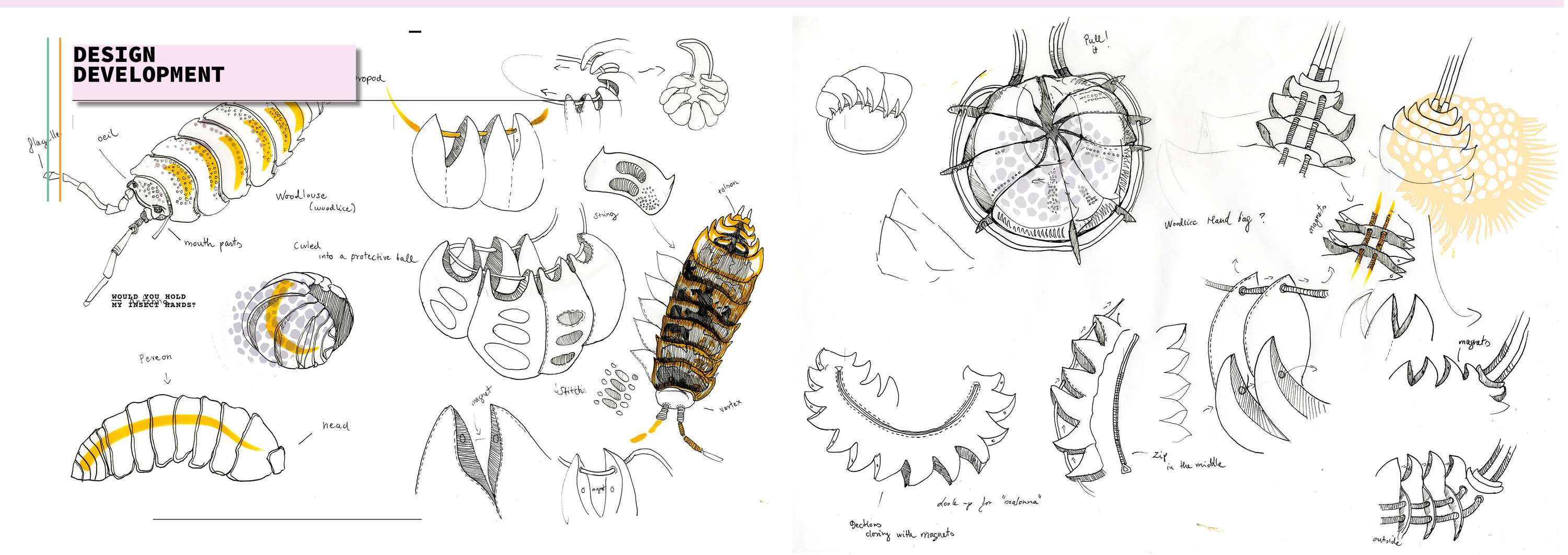 The Bug Designer by Anna Melegh