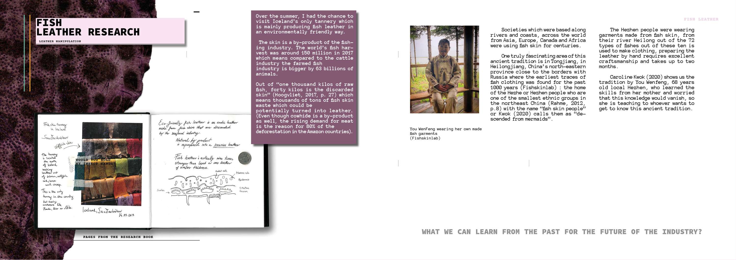 The Bug Designer by Anna Melegh
