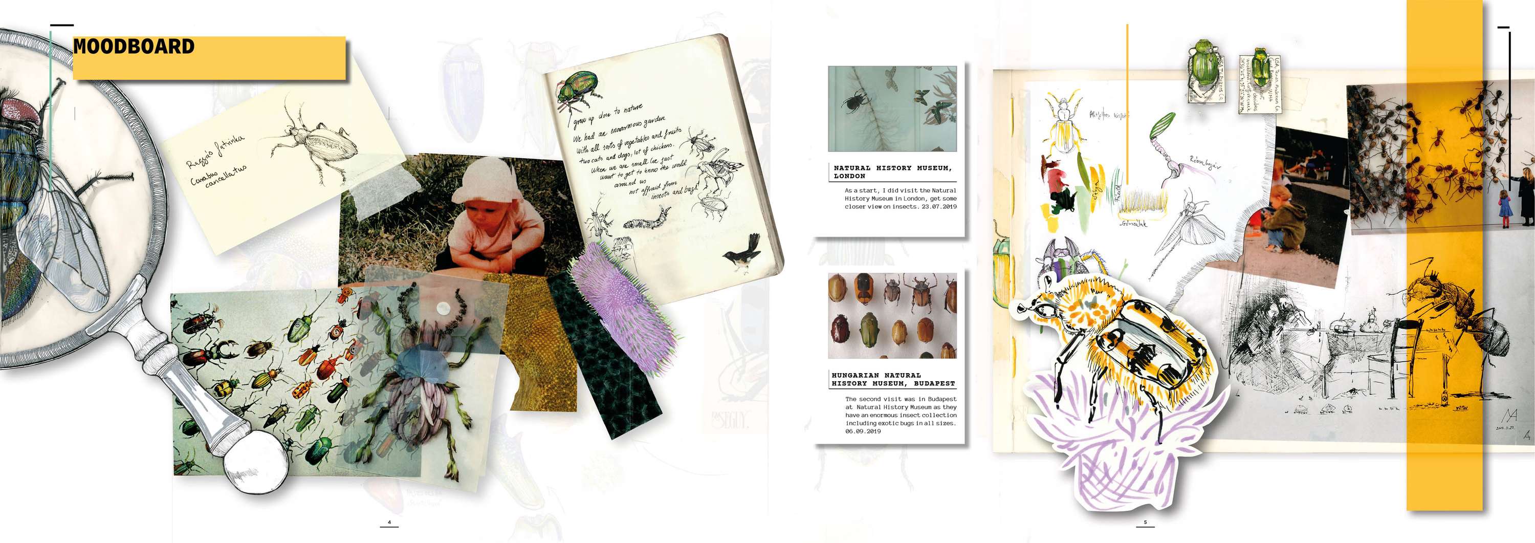 The Bug Designer by Anna Melegh