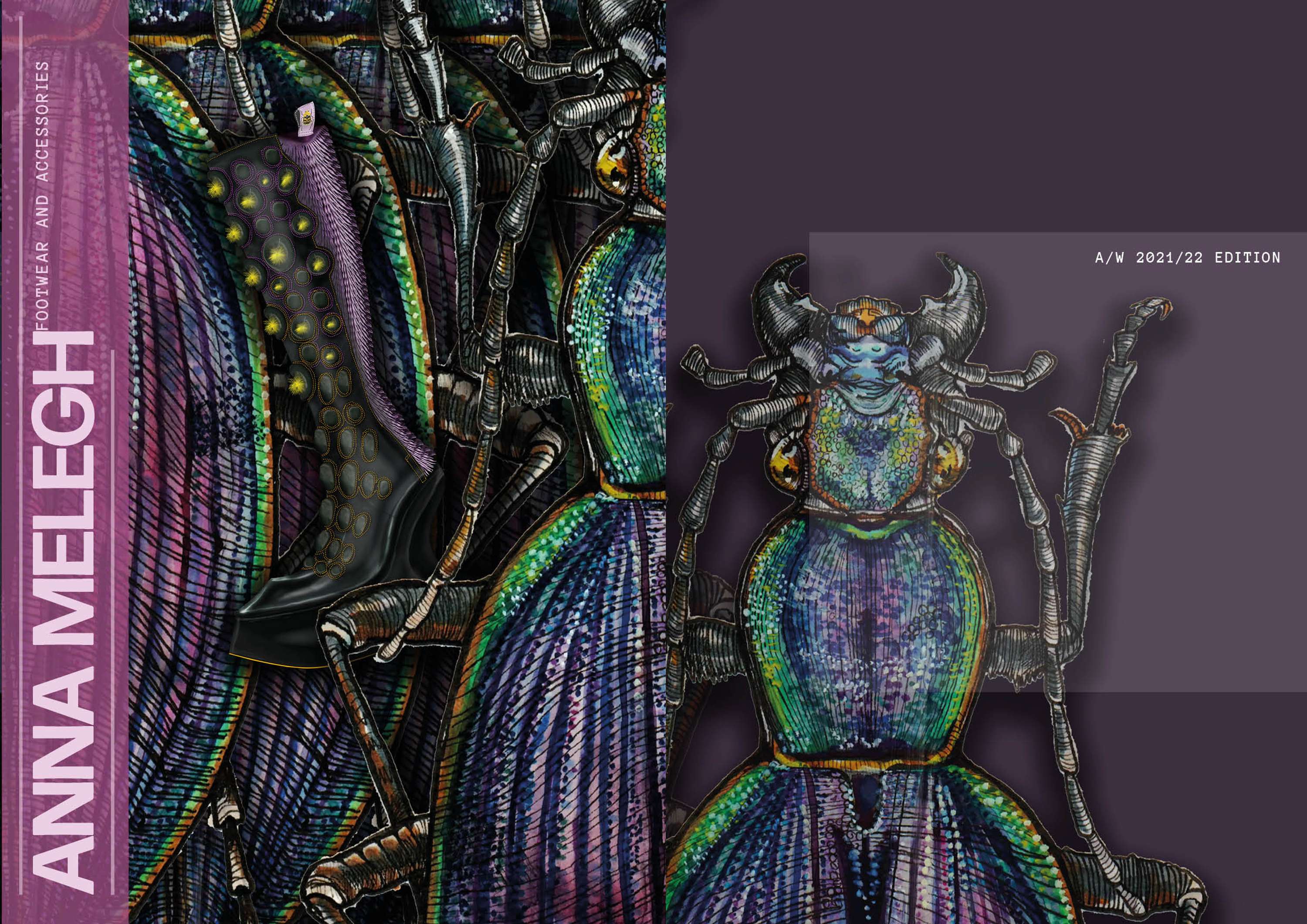 The Bug Designer by Anna Melegh
