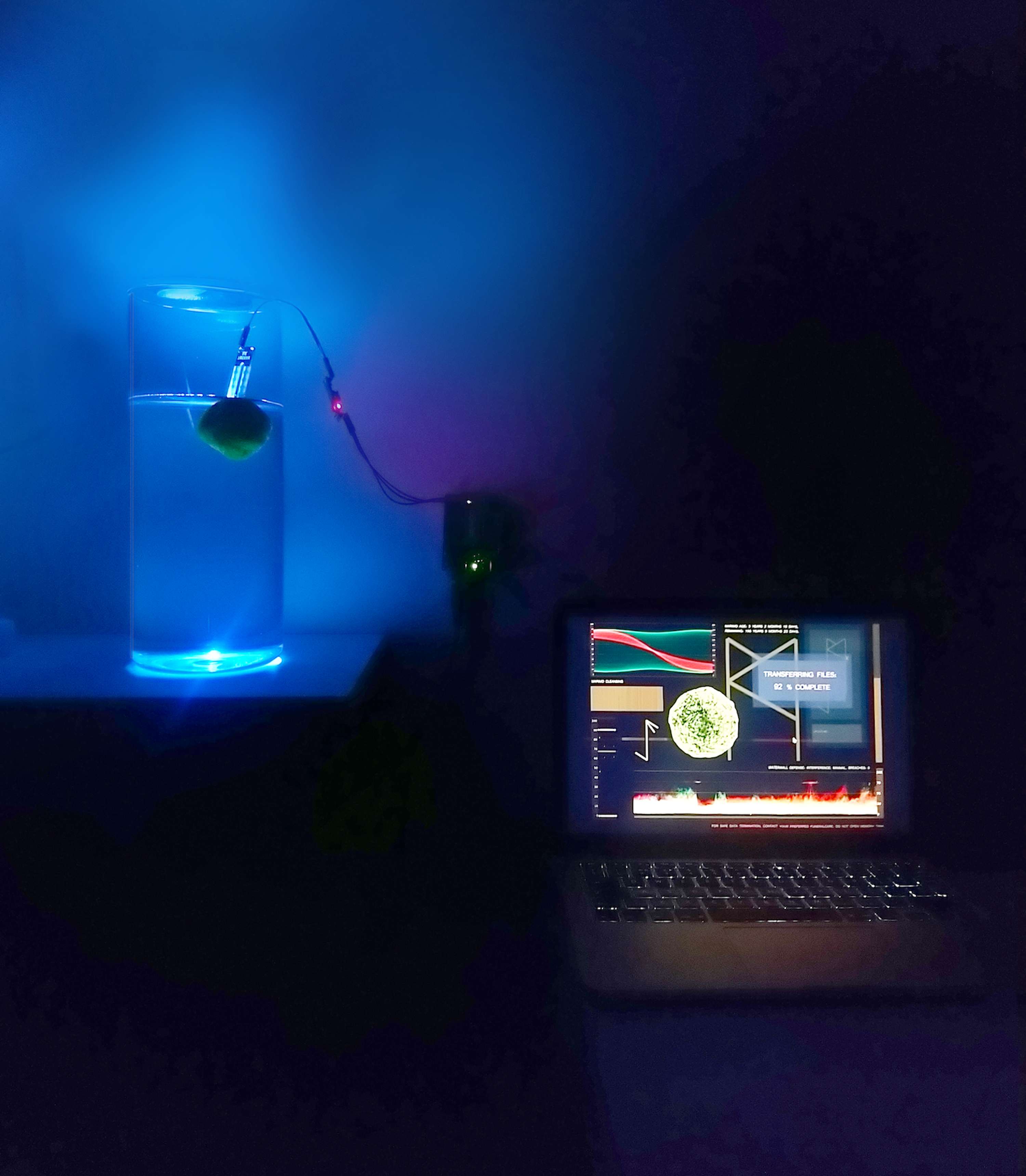 Data Water by Ella Chedburn