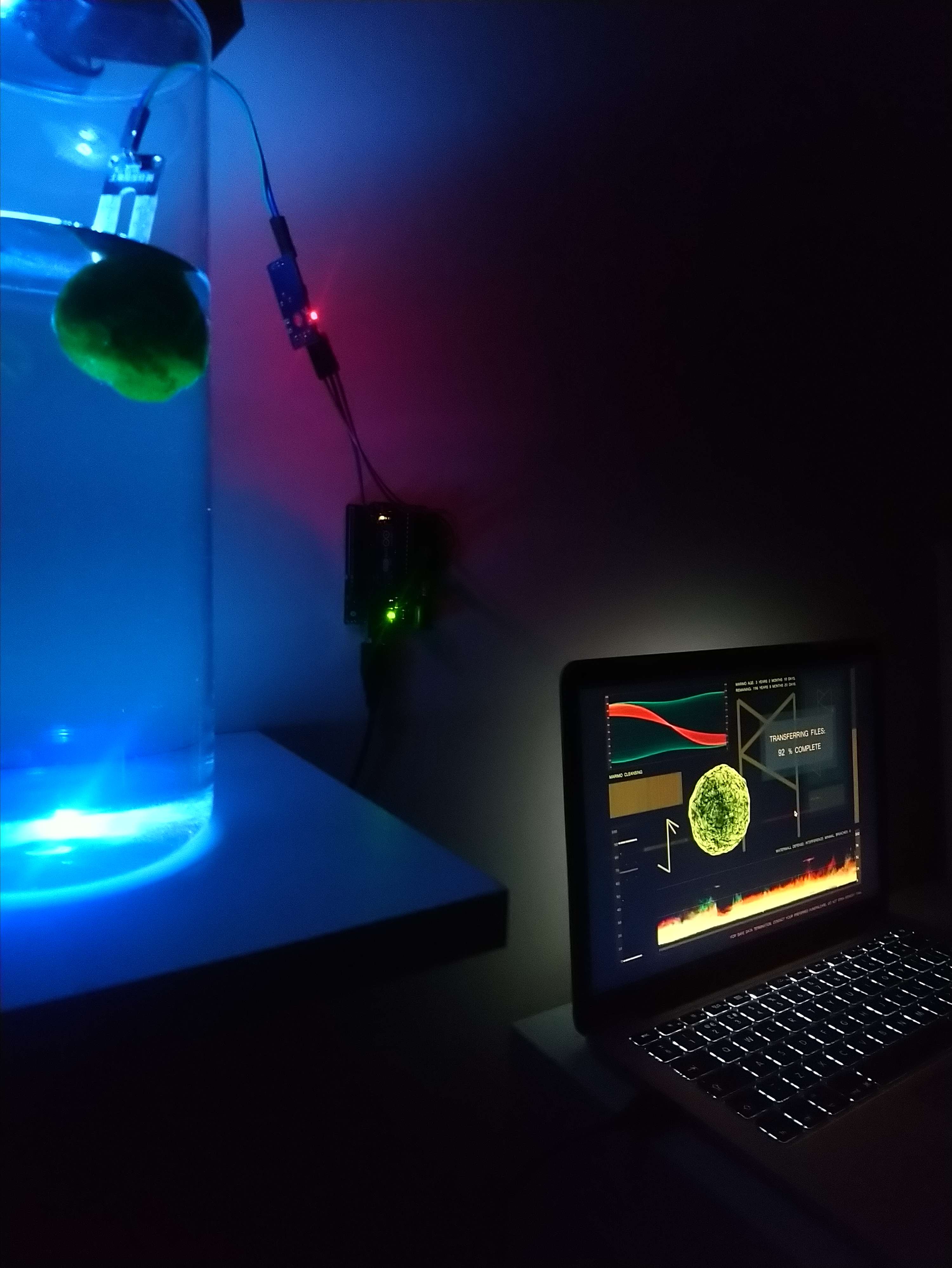 Data Water by Ella Chedburn