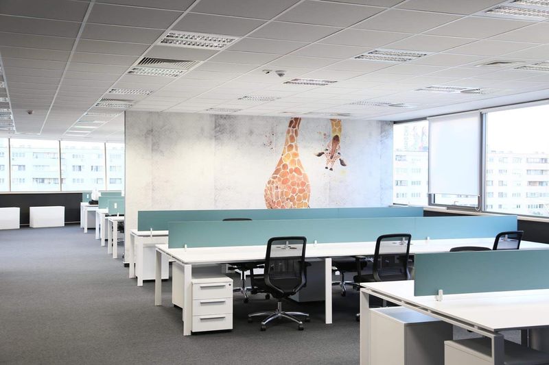 Office interior design by Senka Skenderovic