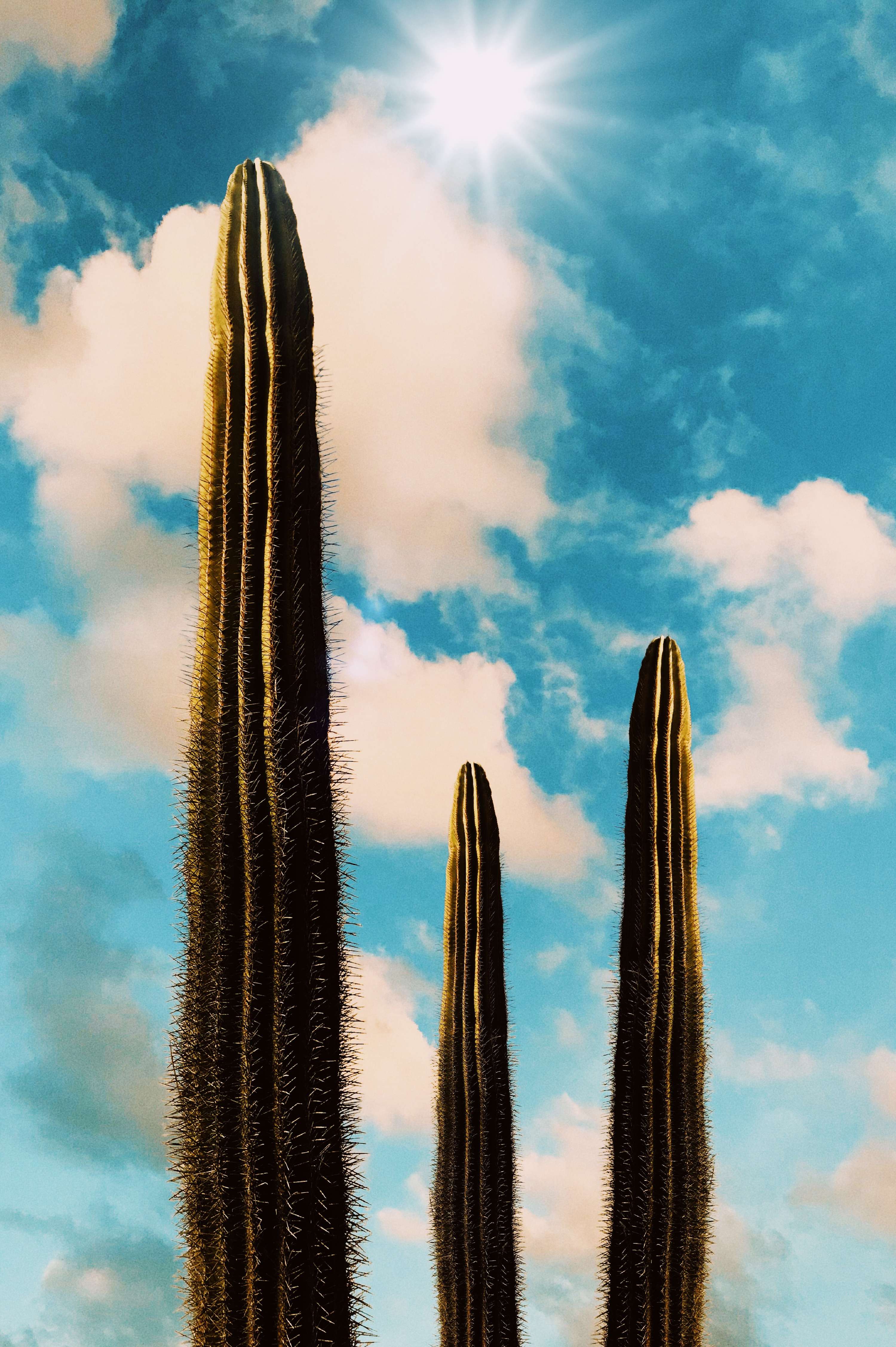 LOOK UP by Thomas Lambert