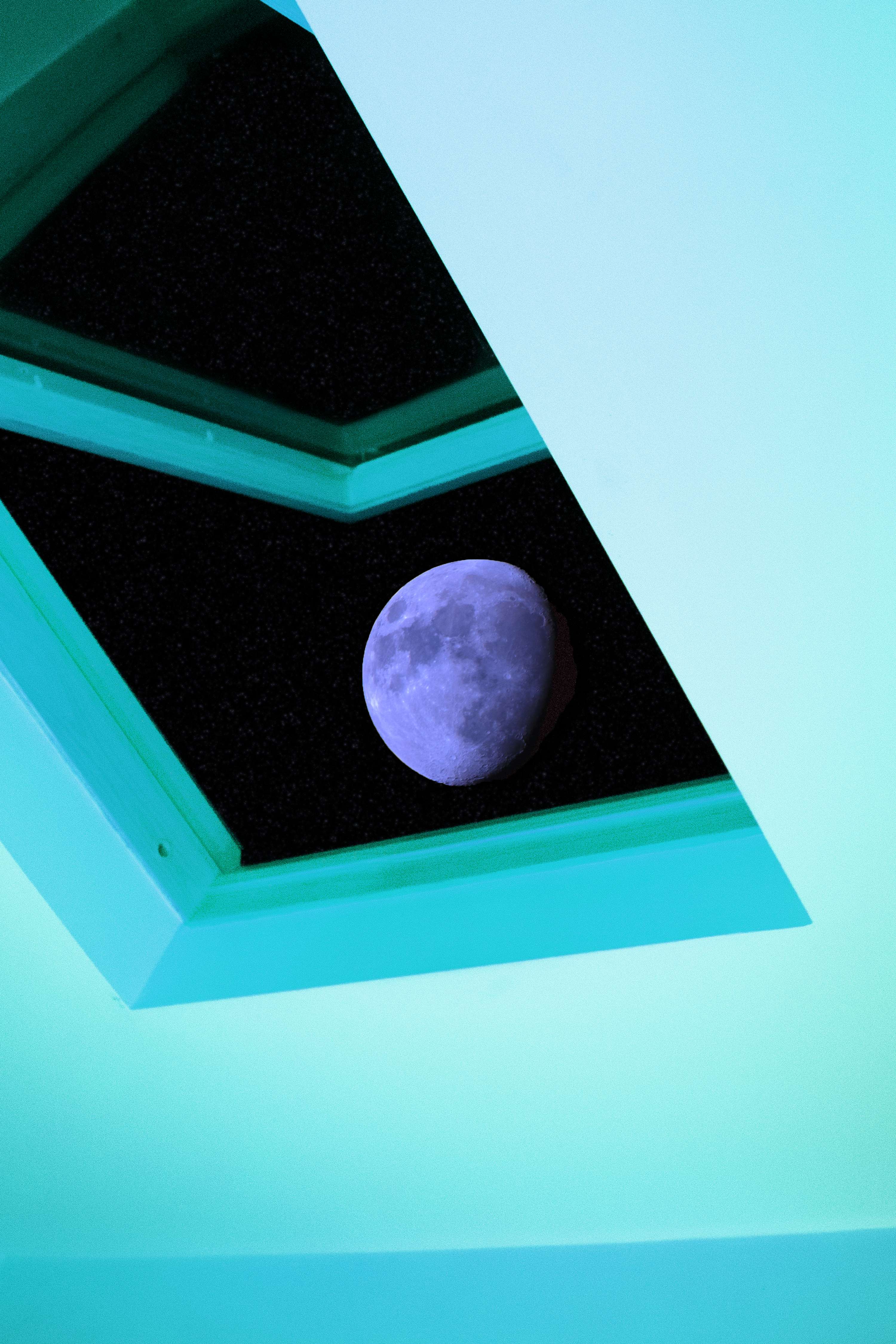 LOOK UP by Thomas Lambert