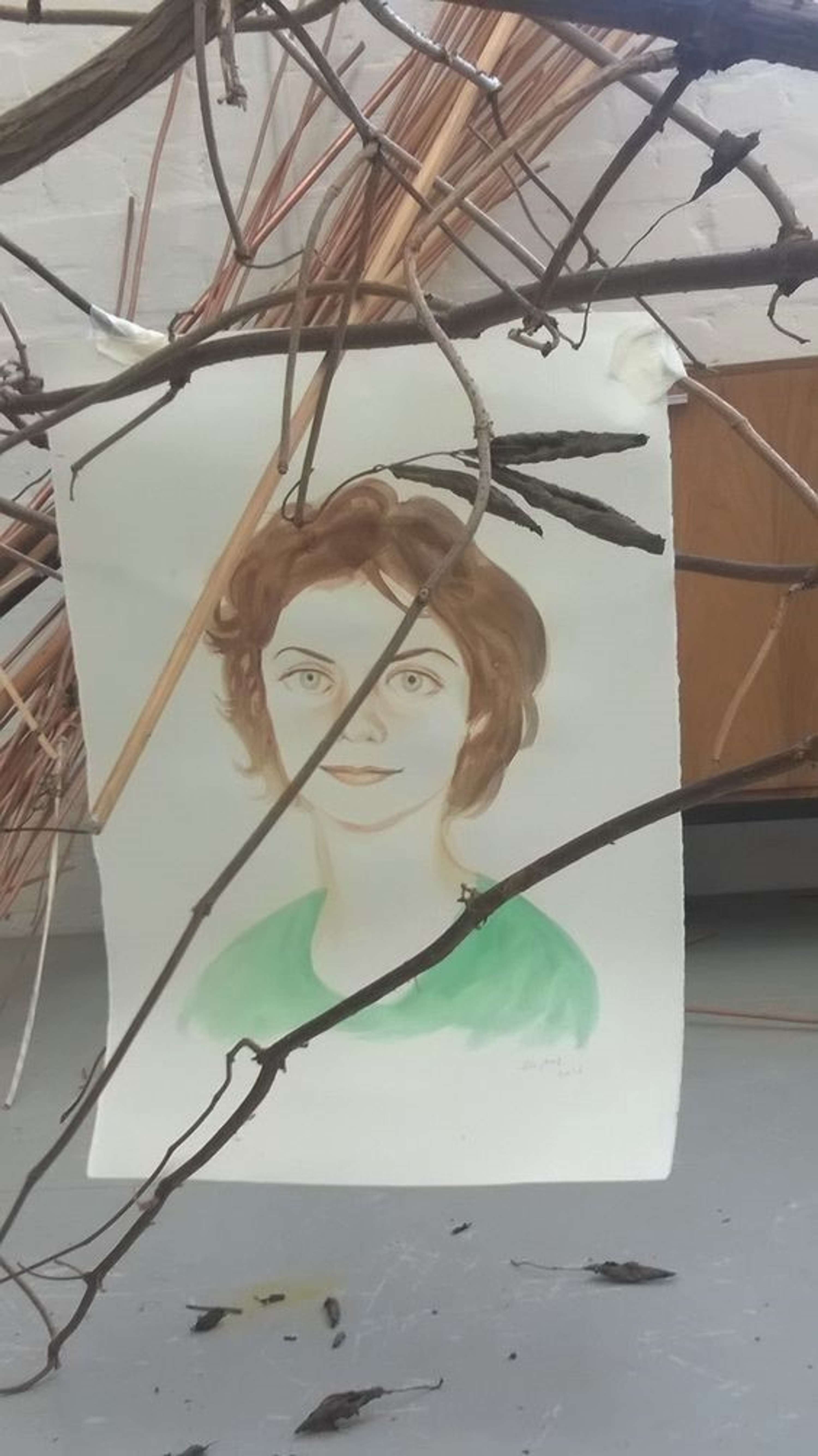 The Tree of Here by Bea Banfi
